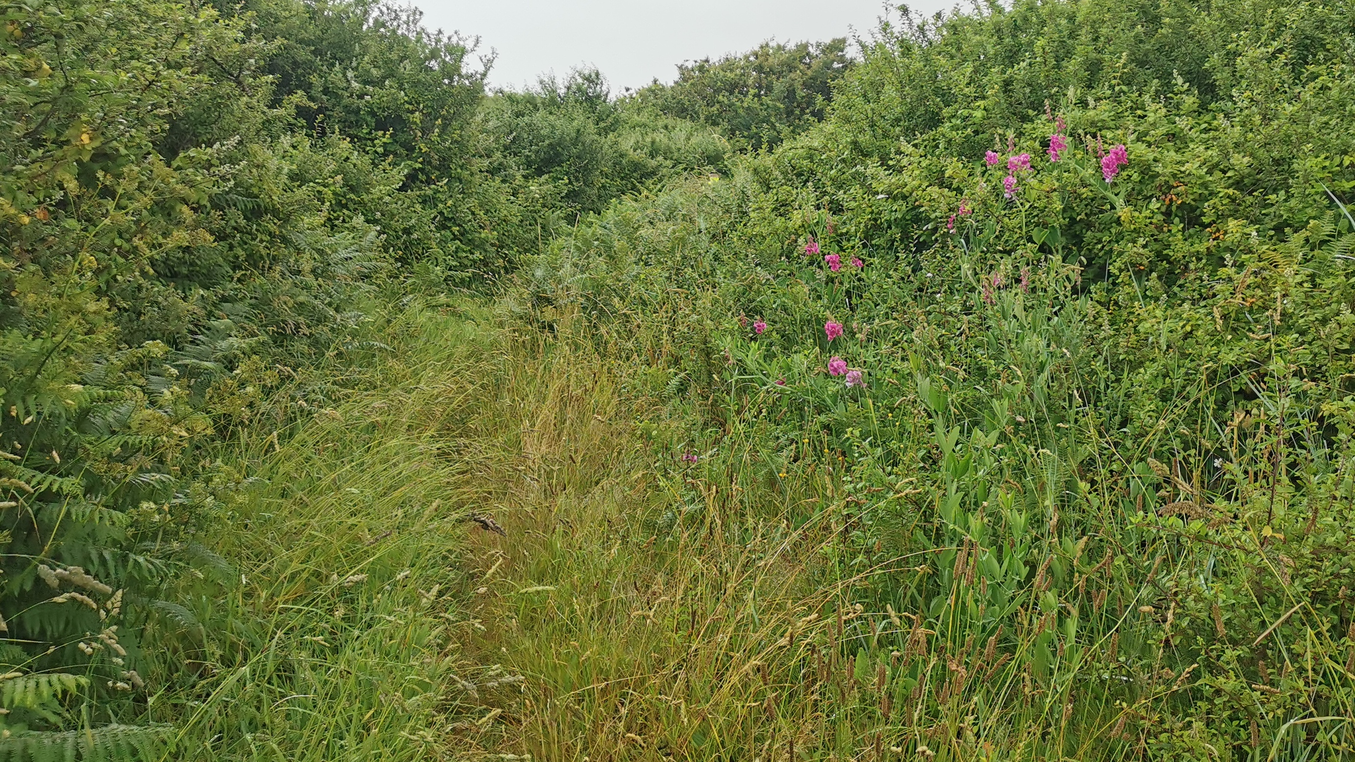 158-IMG_20210620_114335