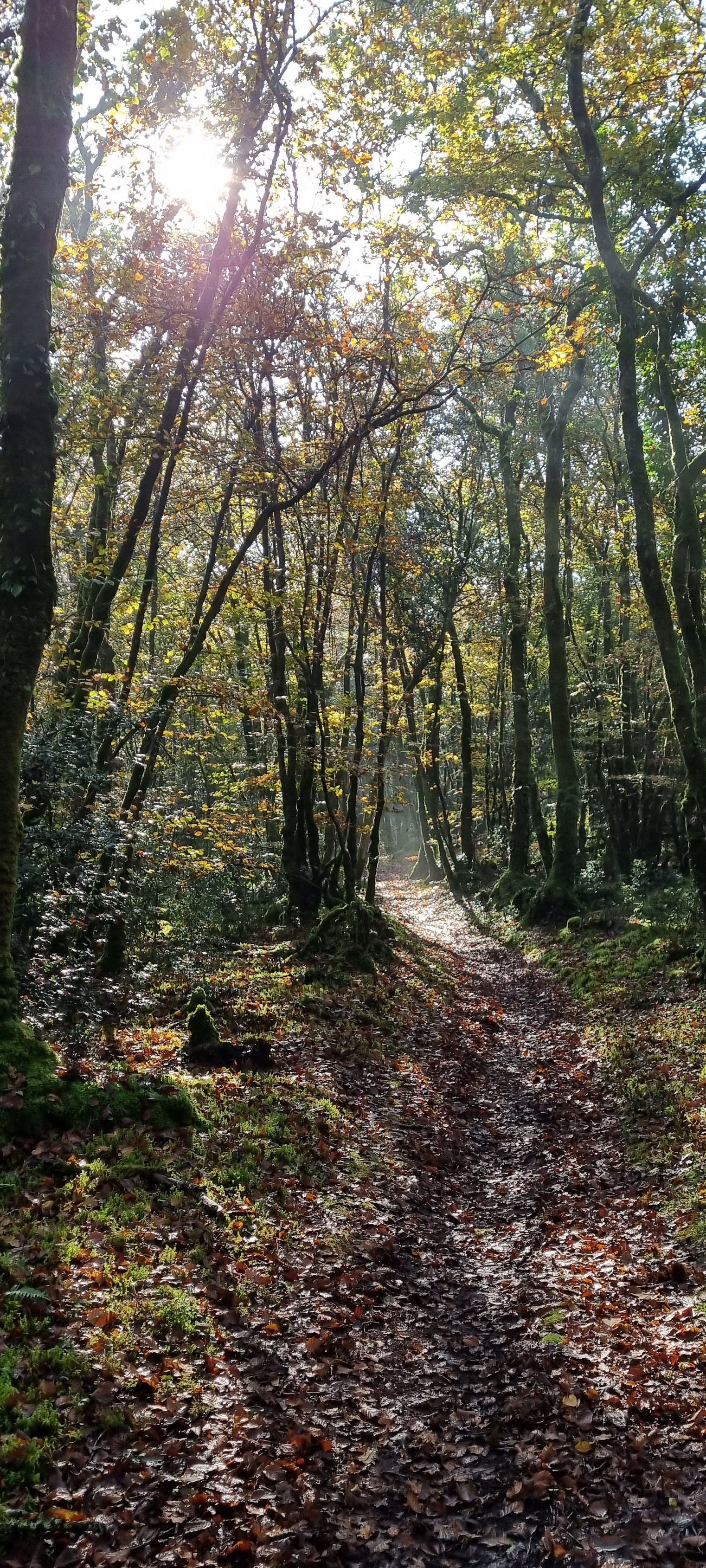 40-20211111_111447(0)