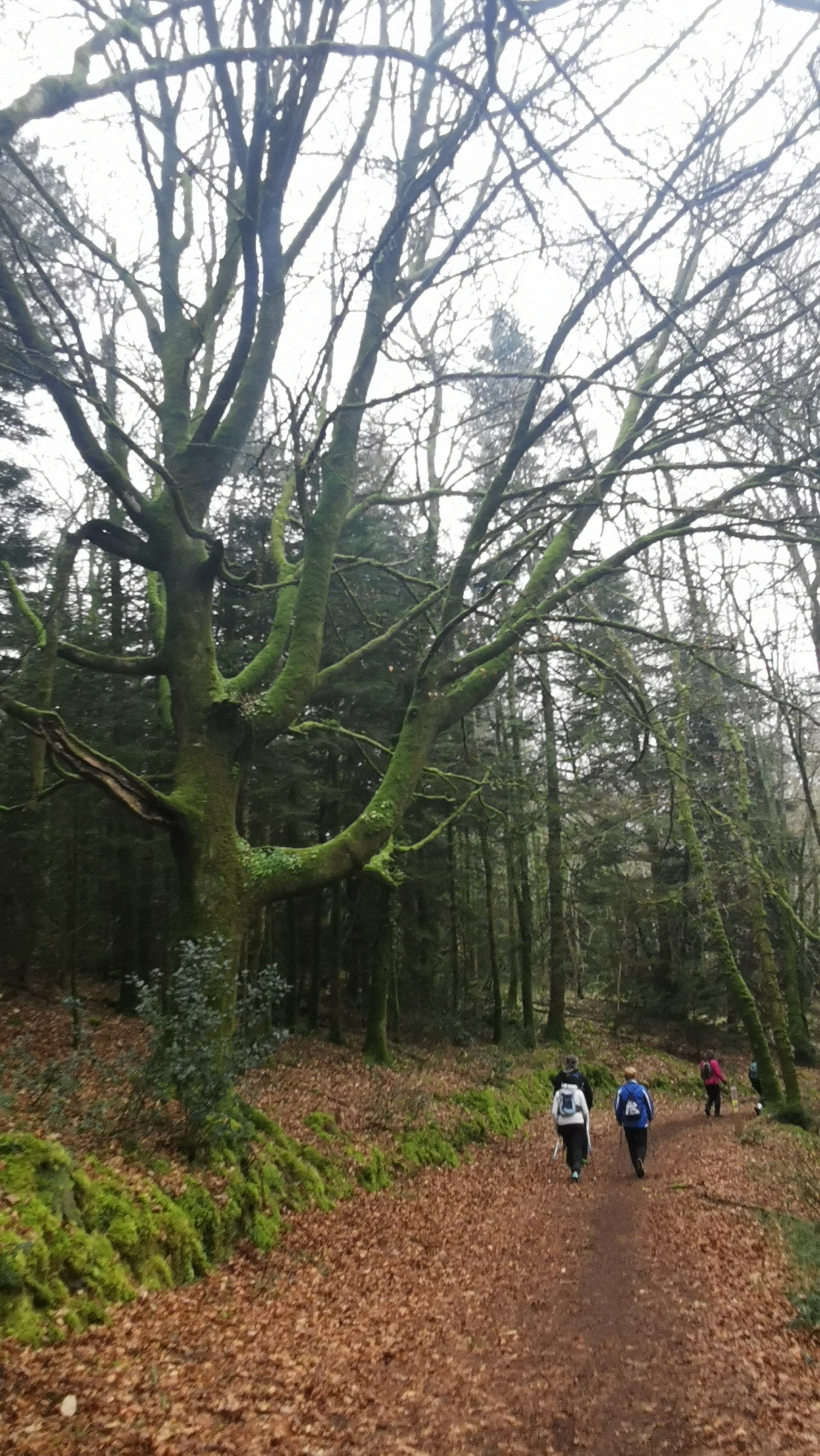 05-IMG_20210304_095436