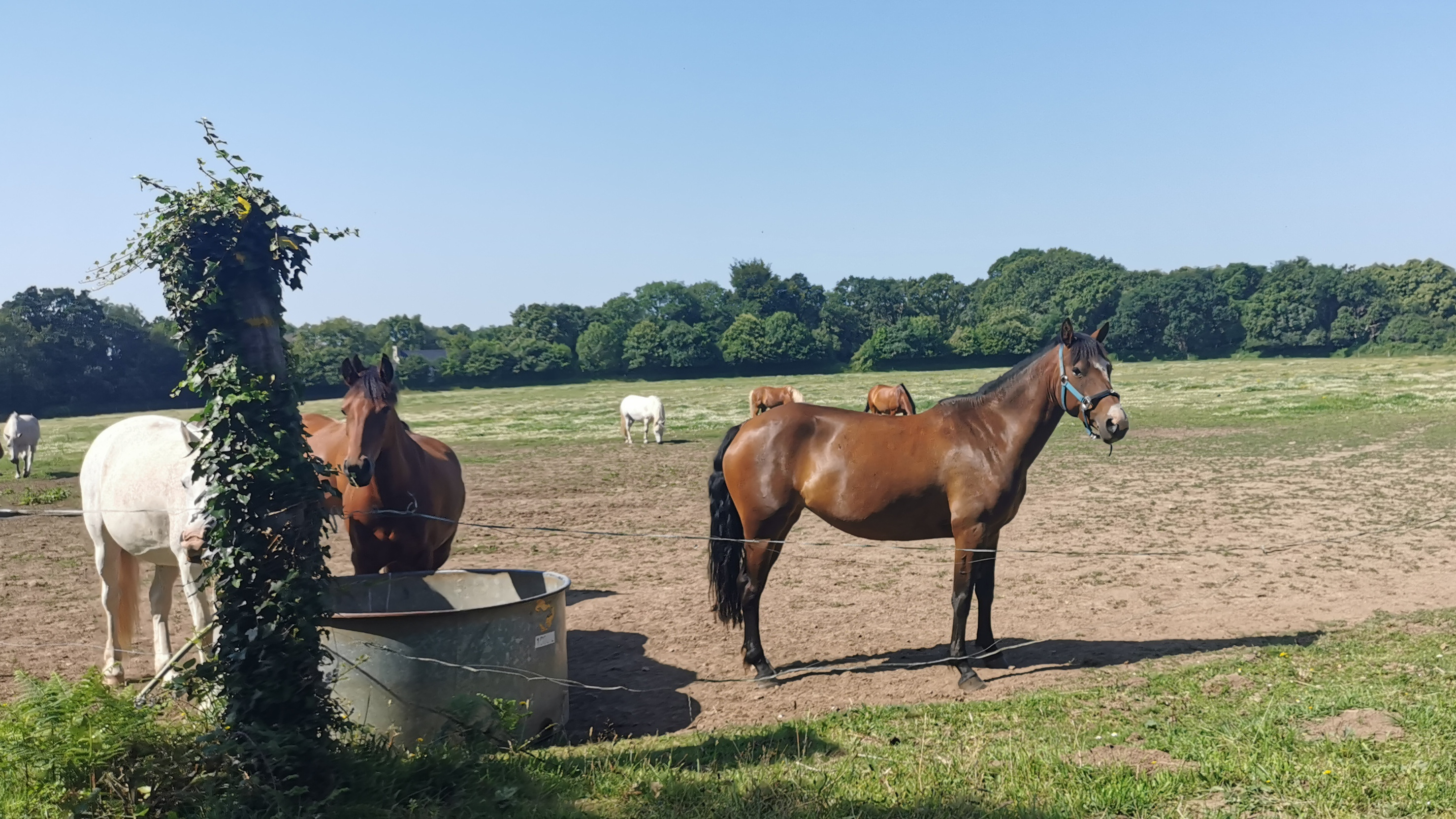 103-IMG_20210718_113808