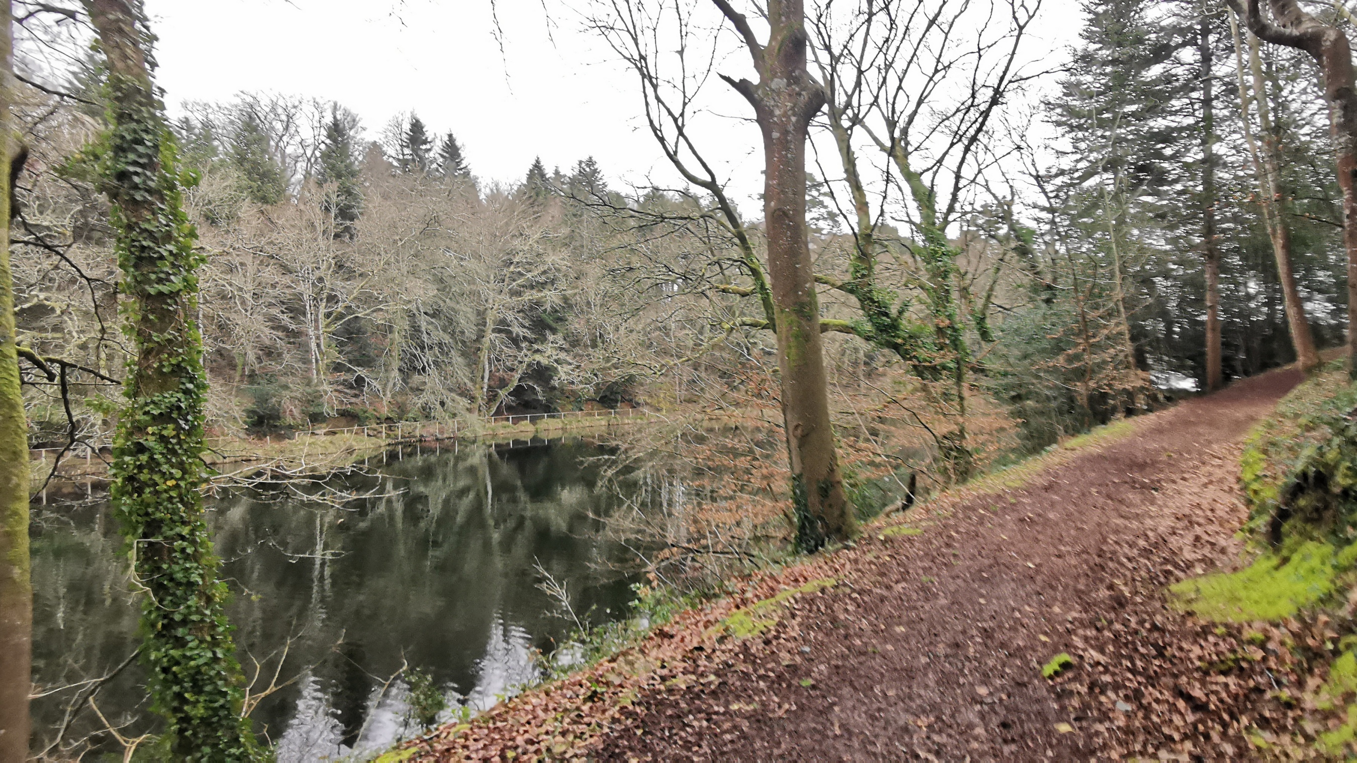 056-IMG_20210220_111112_1