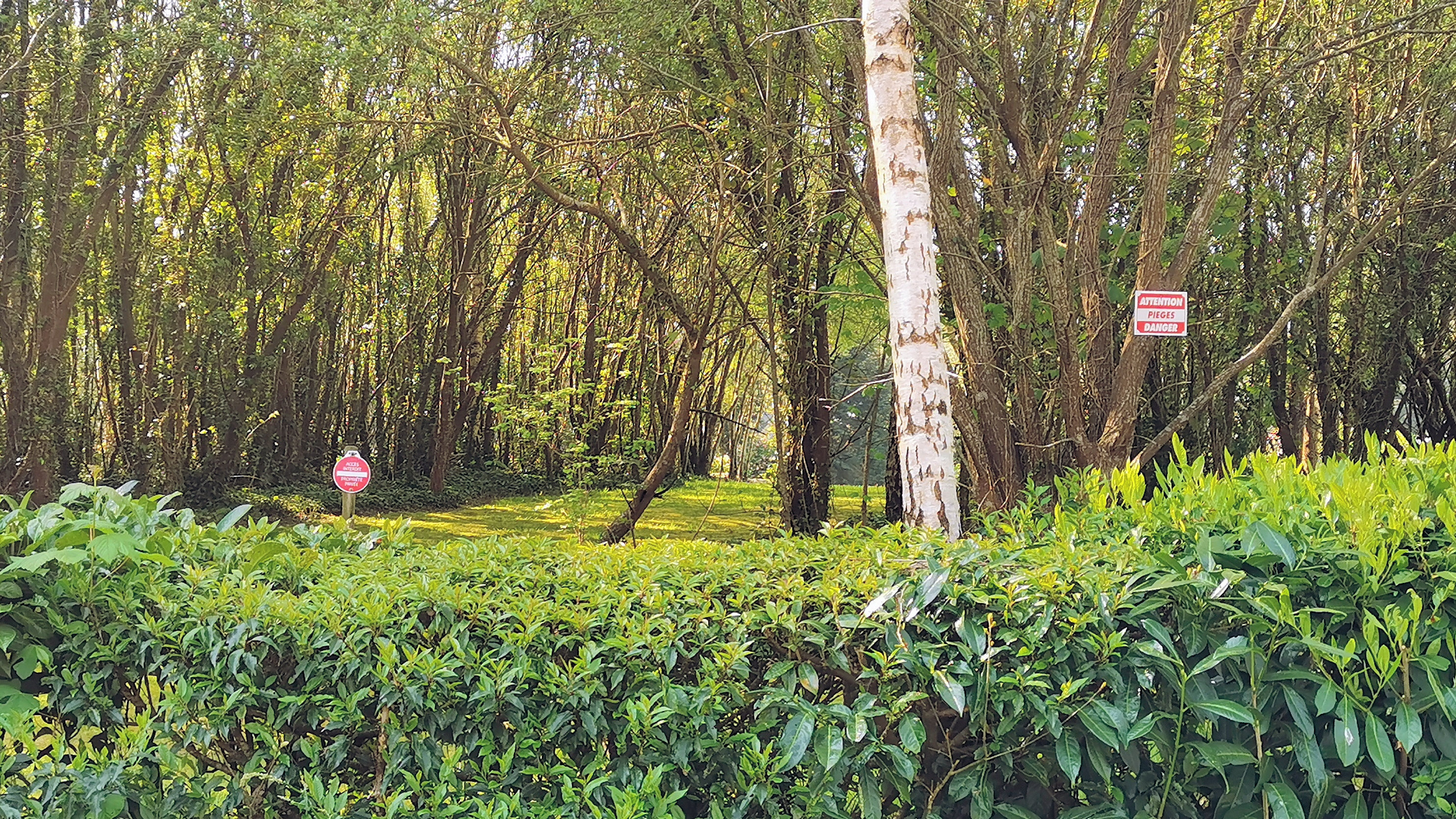 63-IMG_20210422_112242