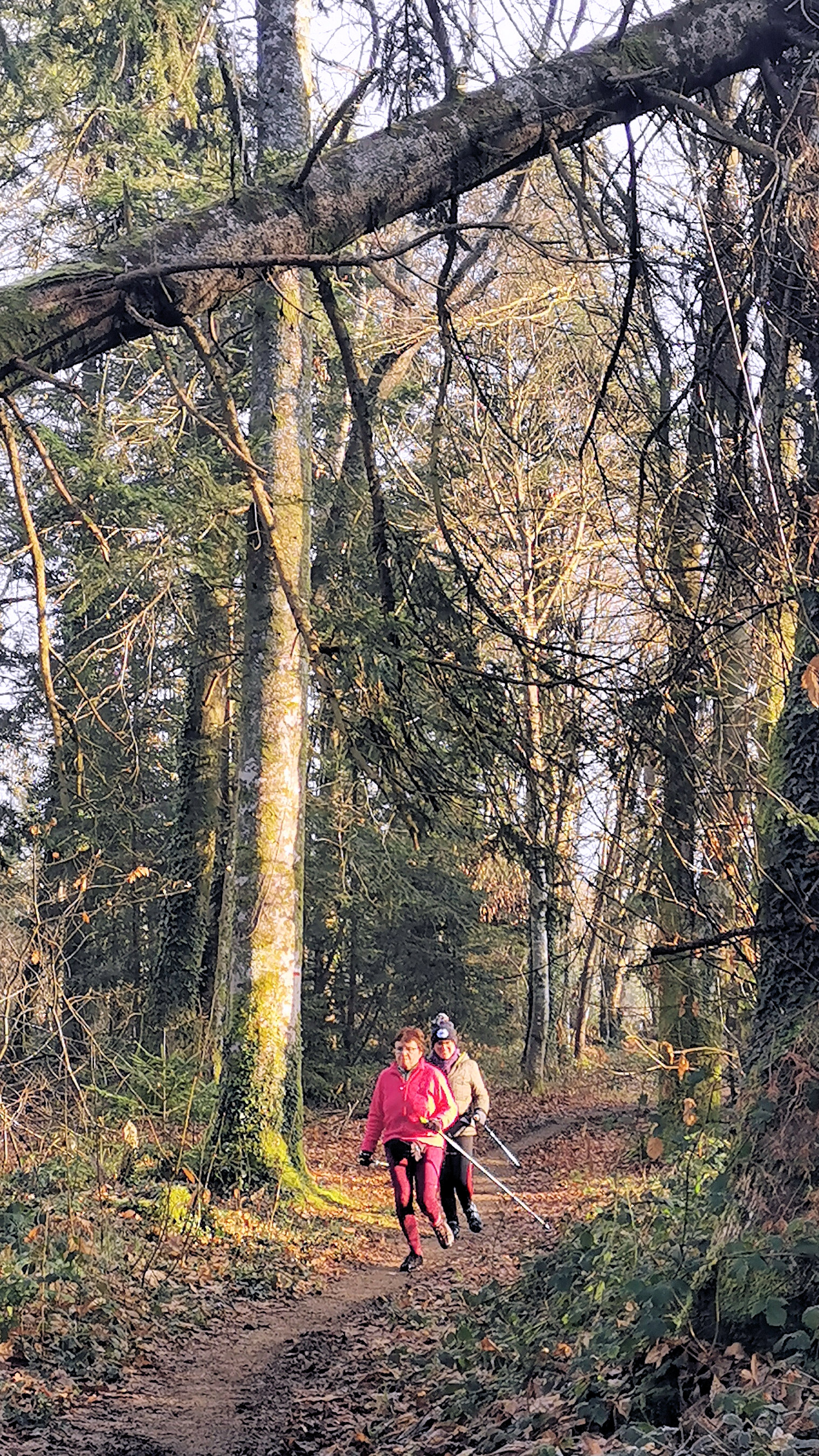 50-IMG_20210107_110612