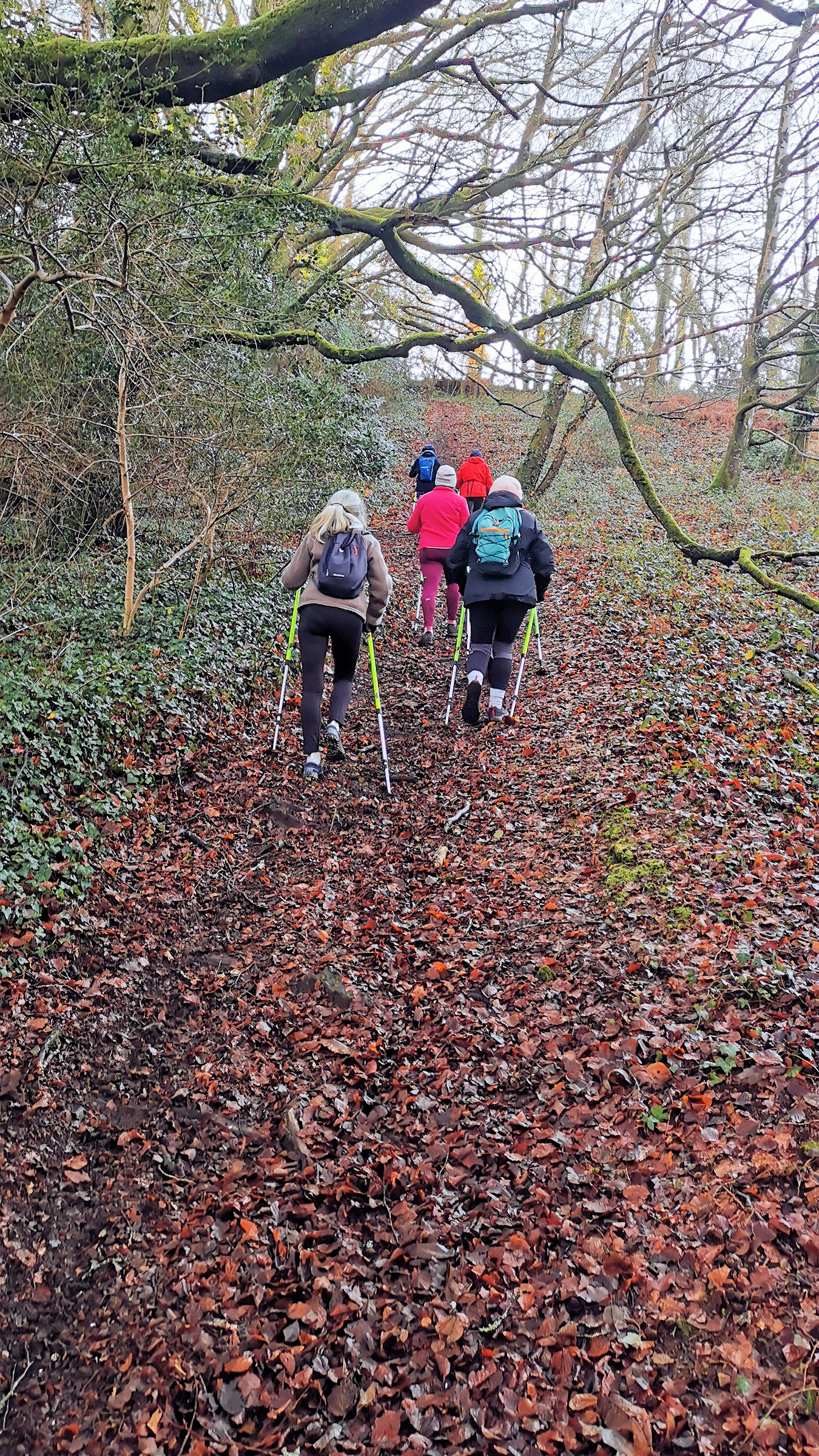 10-IMG_20210105_104807