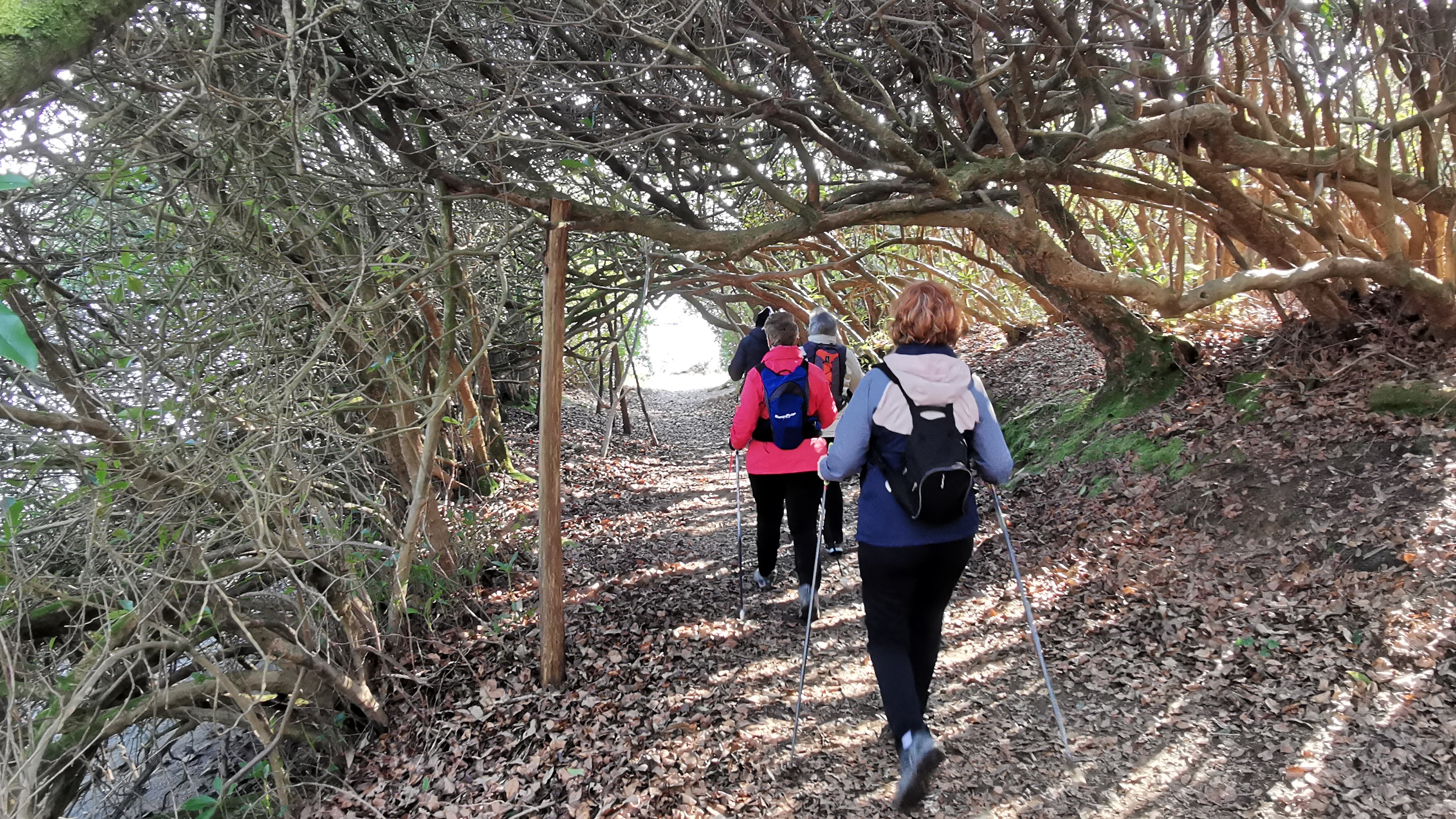 21-IMG_20210308_104130