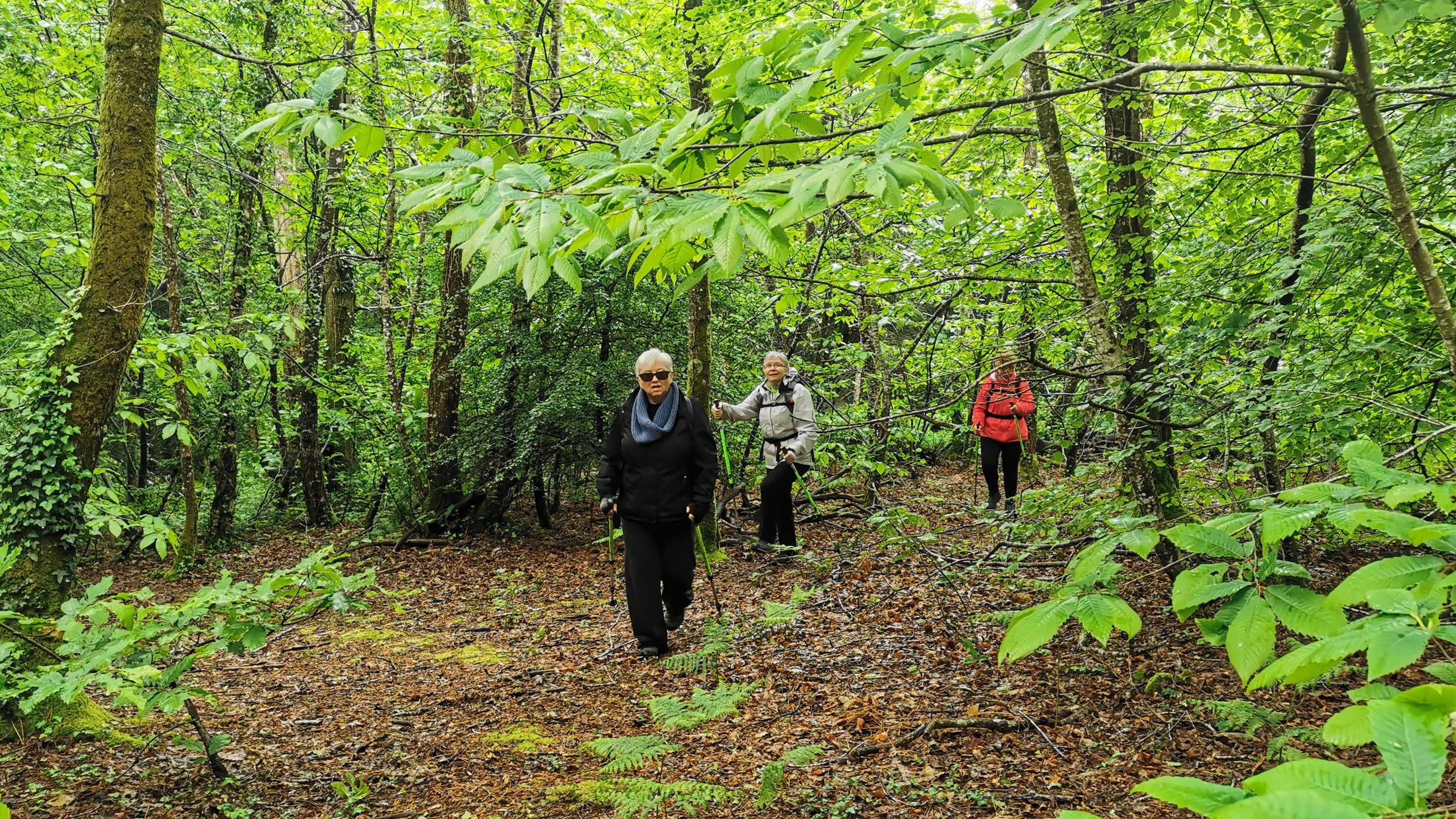 11-IMG_20210524_110440