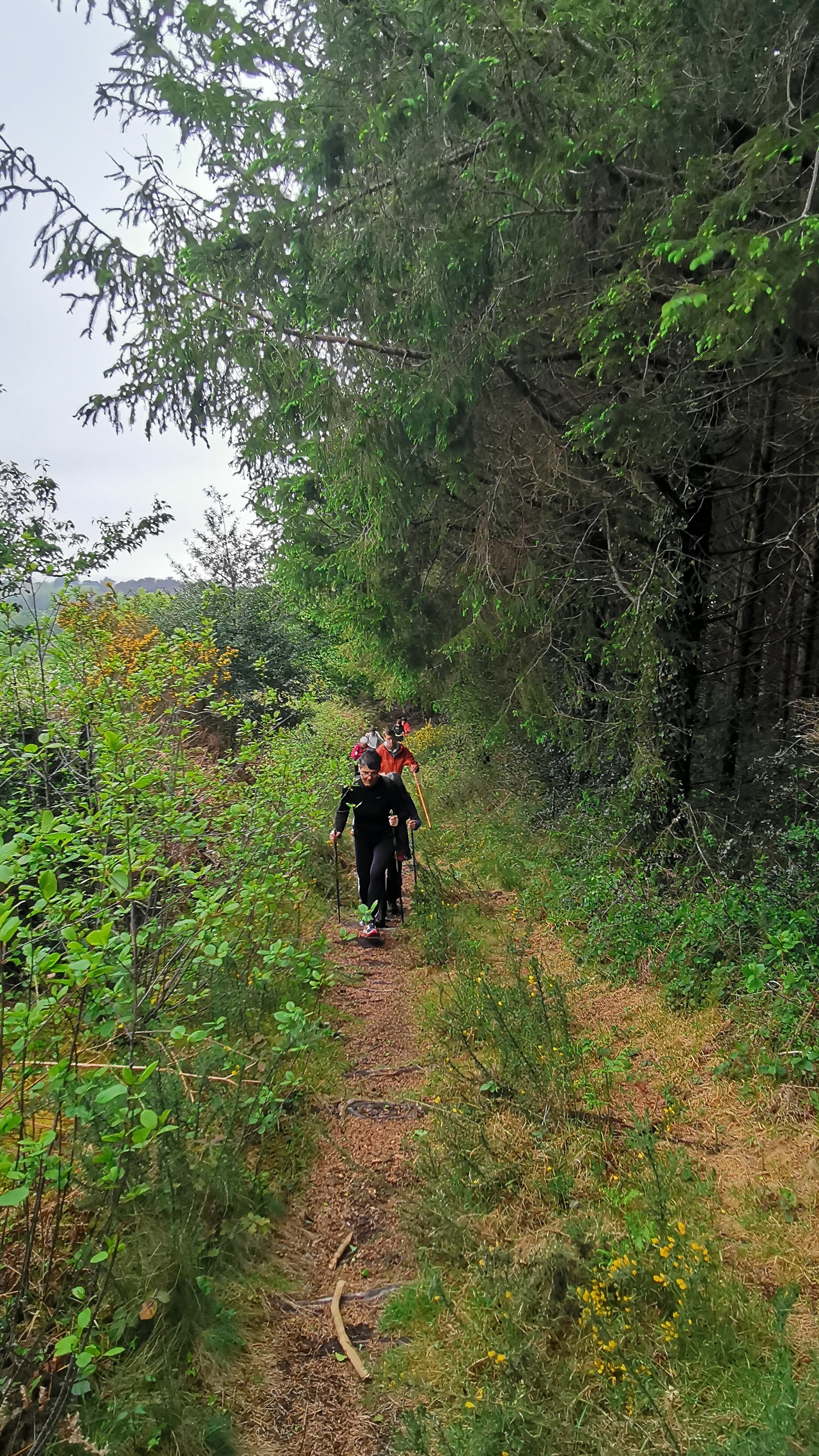 44-IMG_20210508_110308