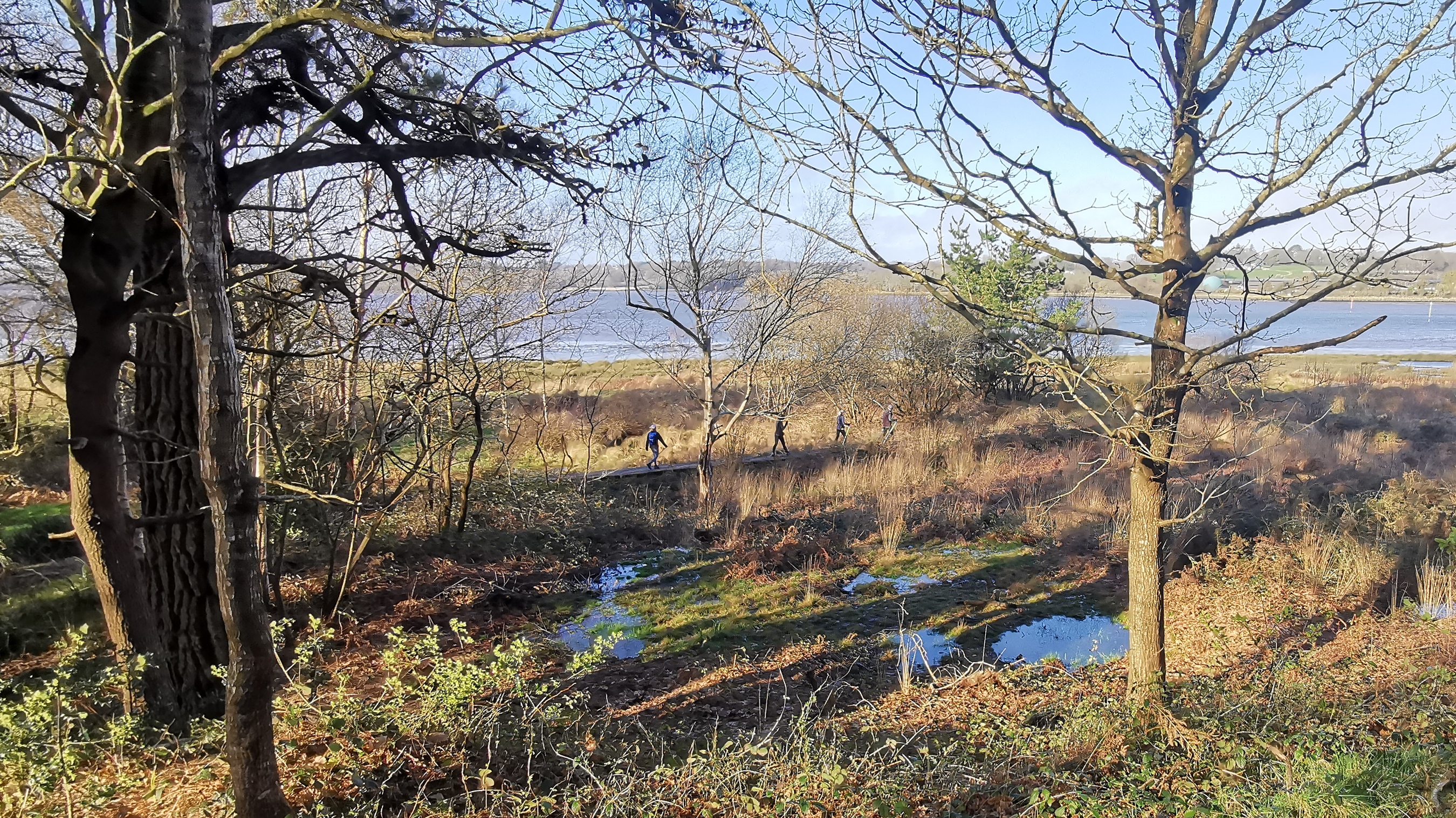 25-IMG_20210223_102116_1