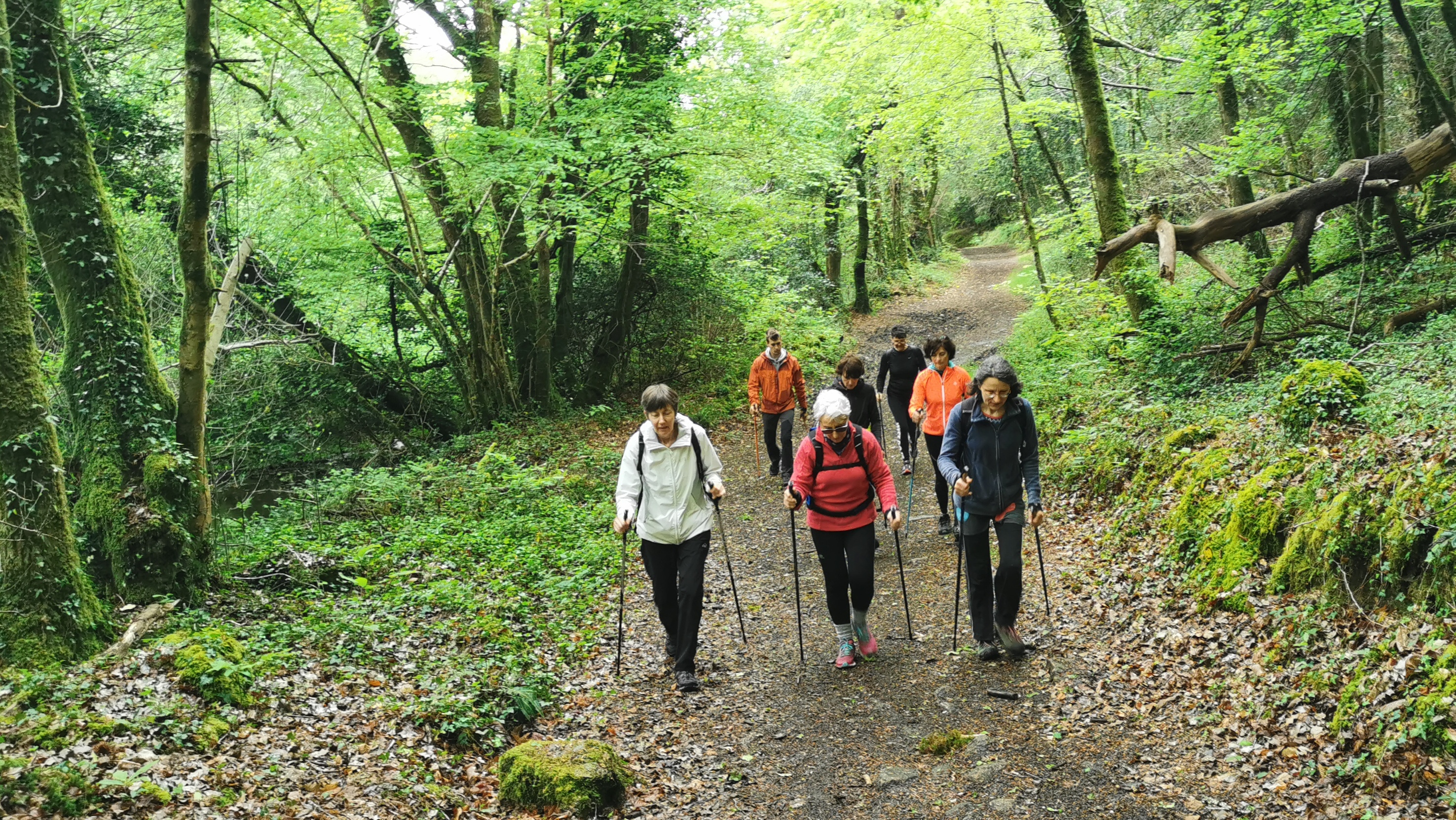 34-IMG_20210508_104454