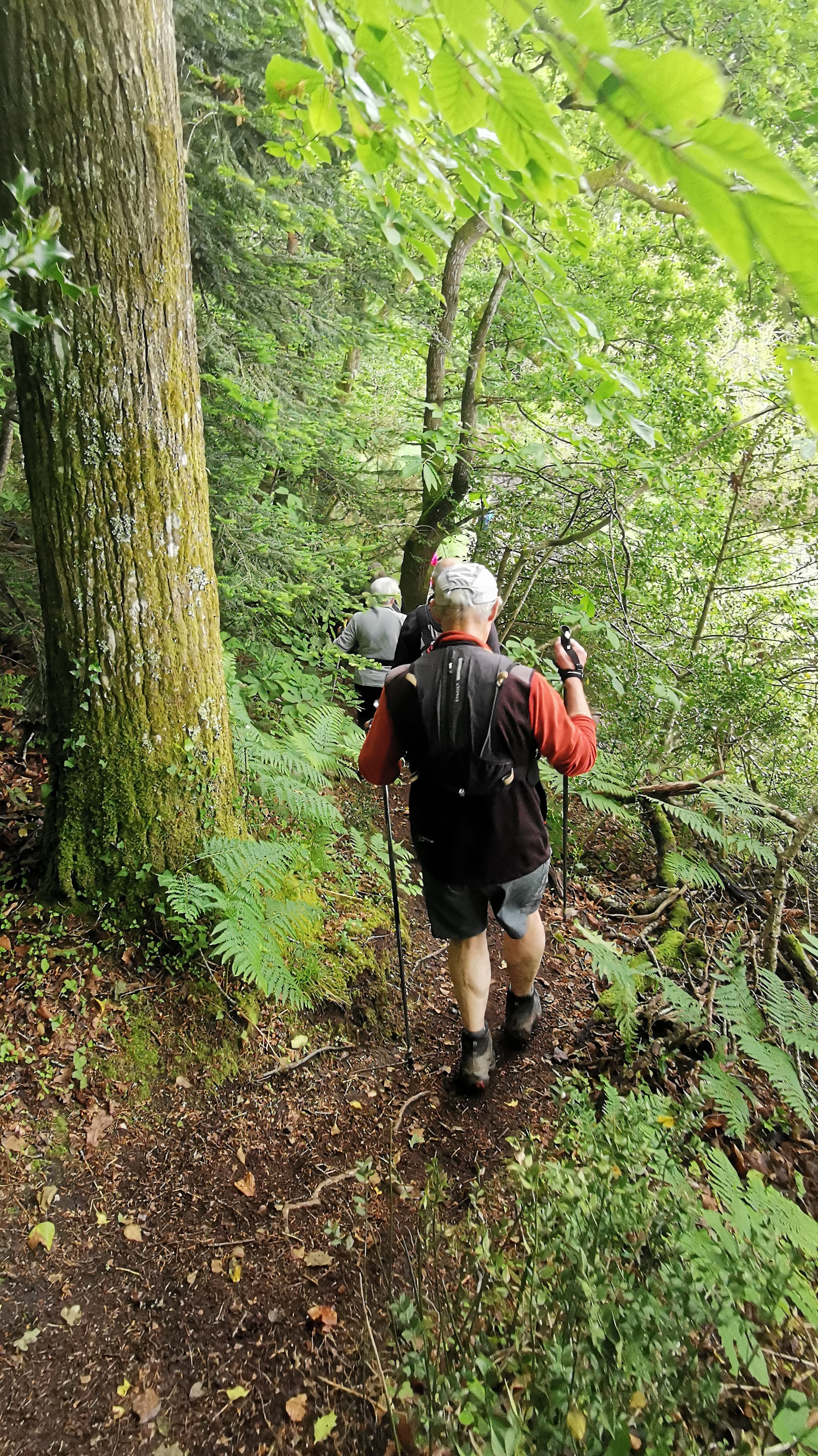 23-IMG_20210527_102911