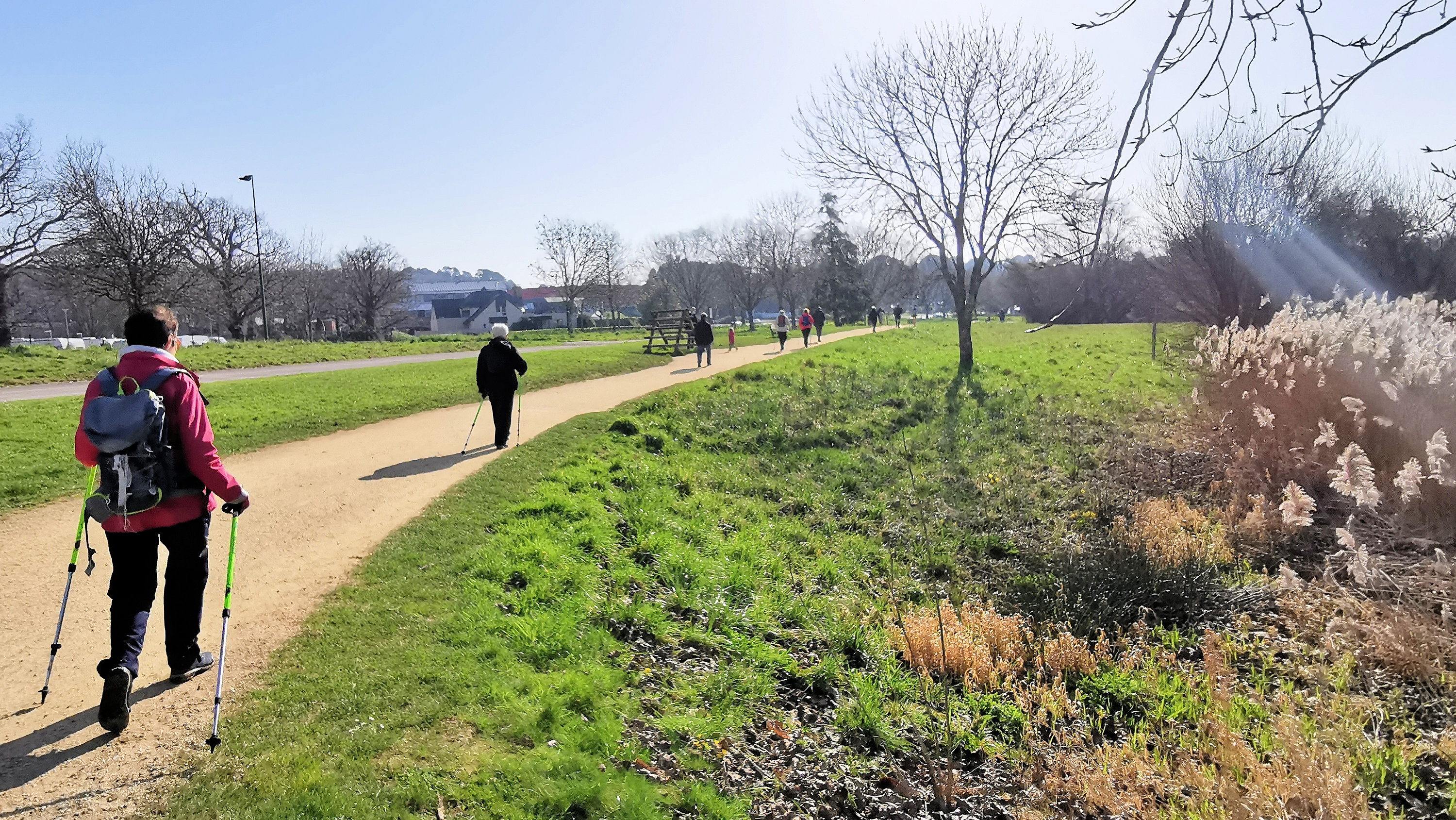 36-IMG_20210301_111437