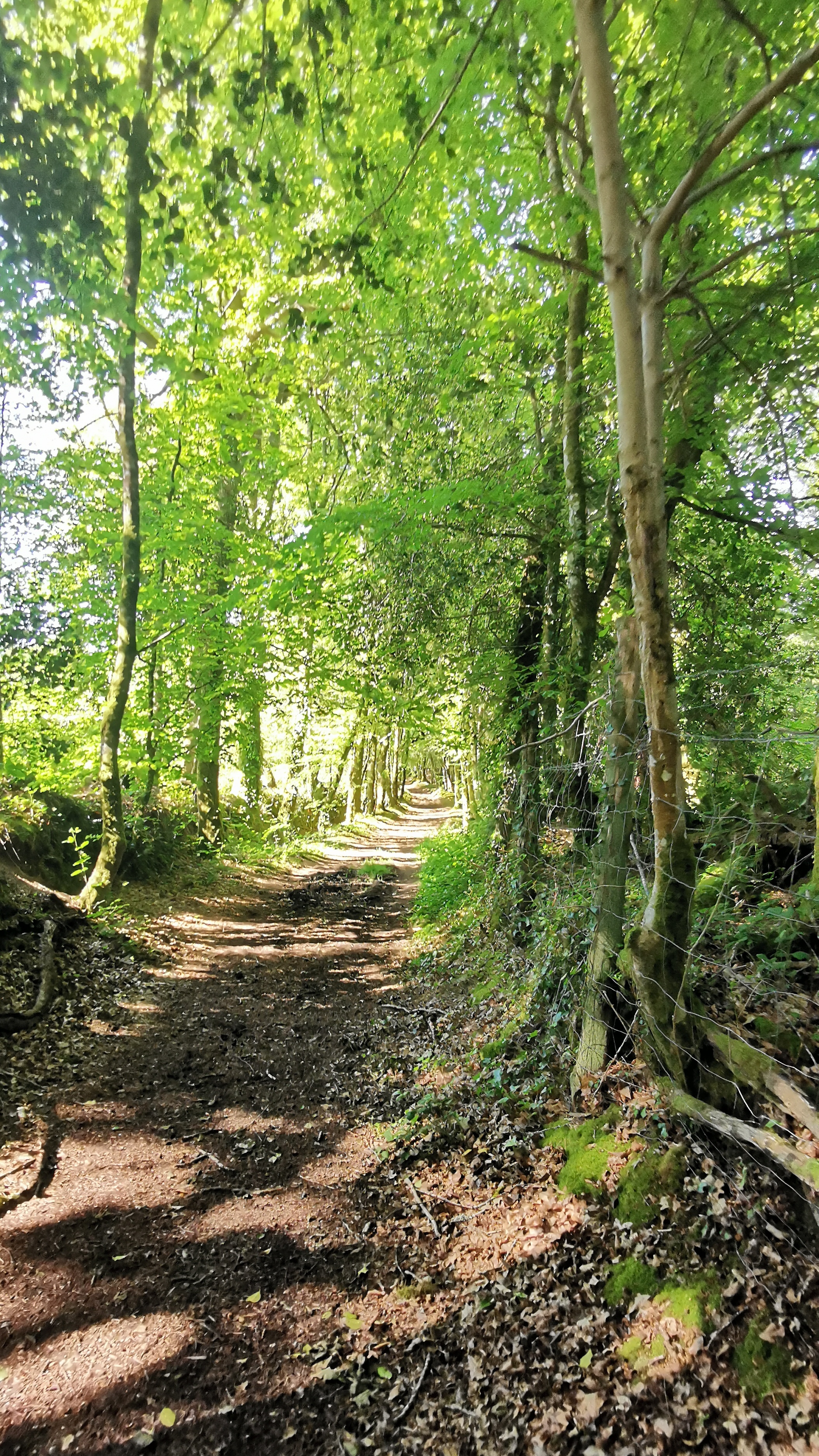 15-IMG_20210531_103326