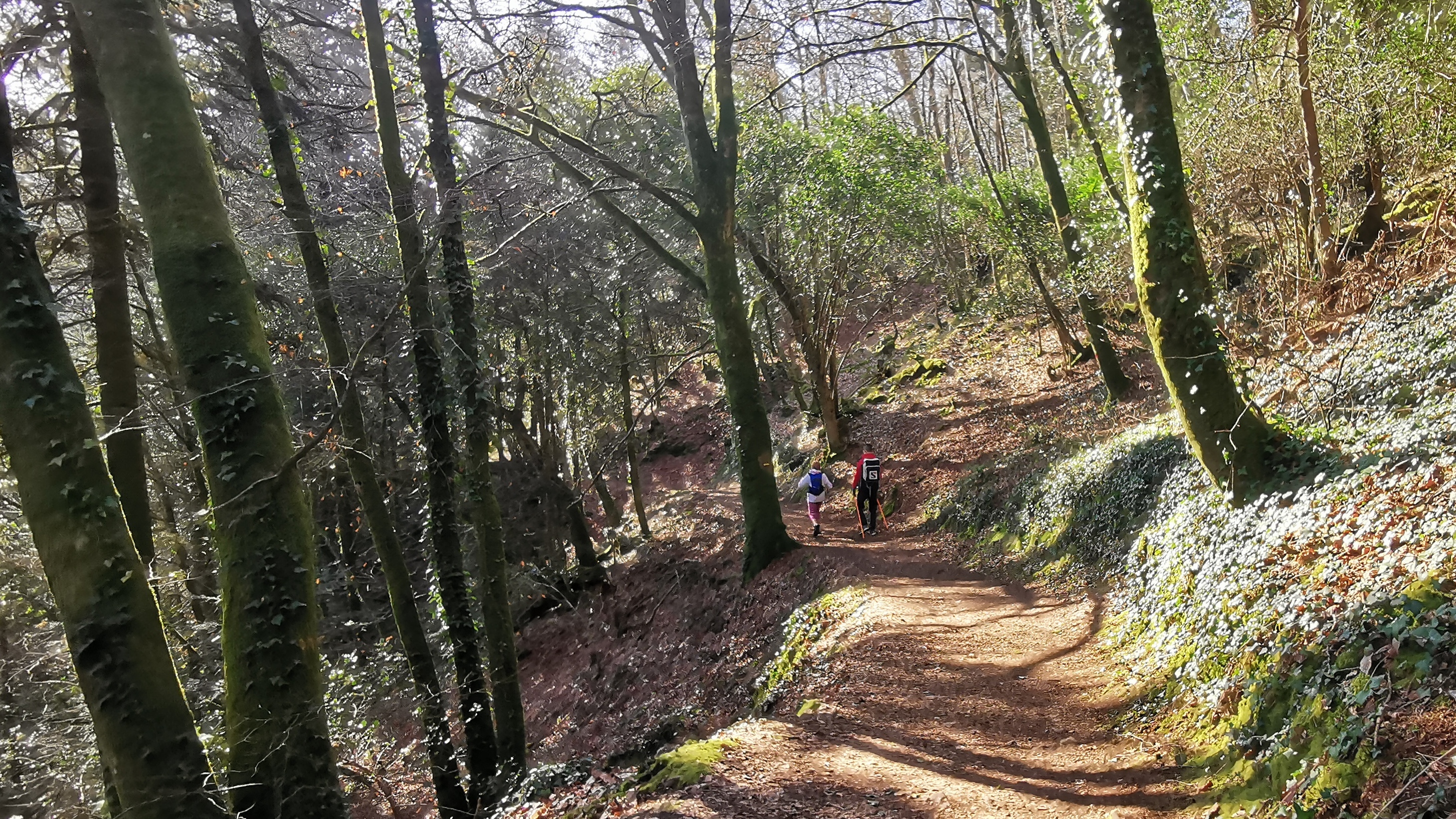 03-IMG_20210320_095257