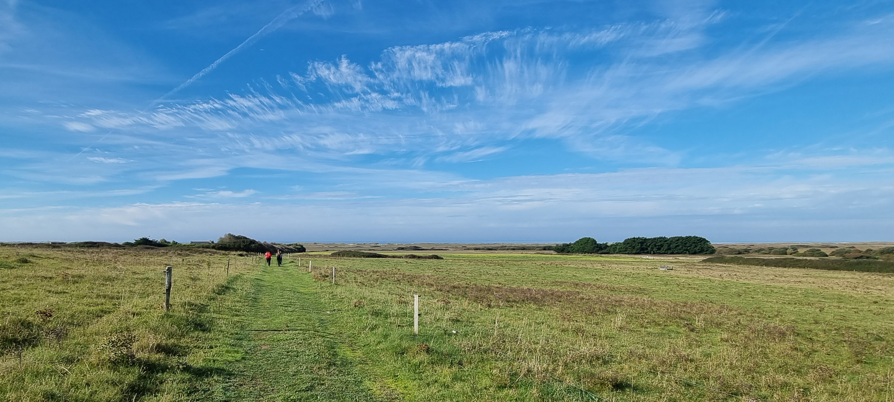 68-20211009_112727(0)