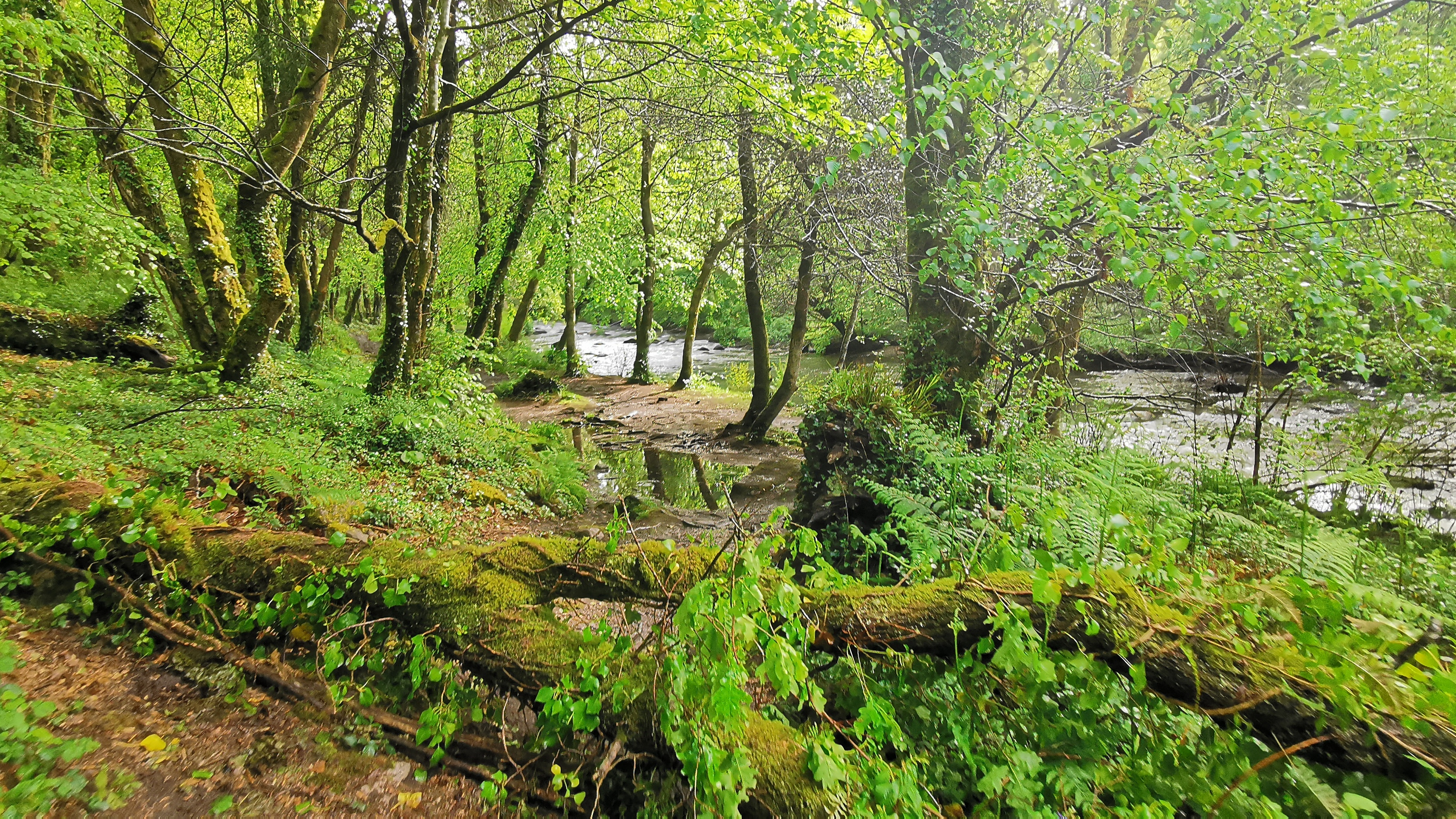 040-IMG_20210513_102044_1