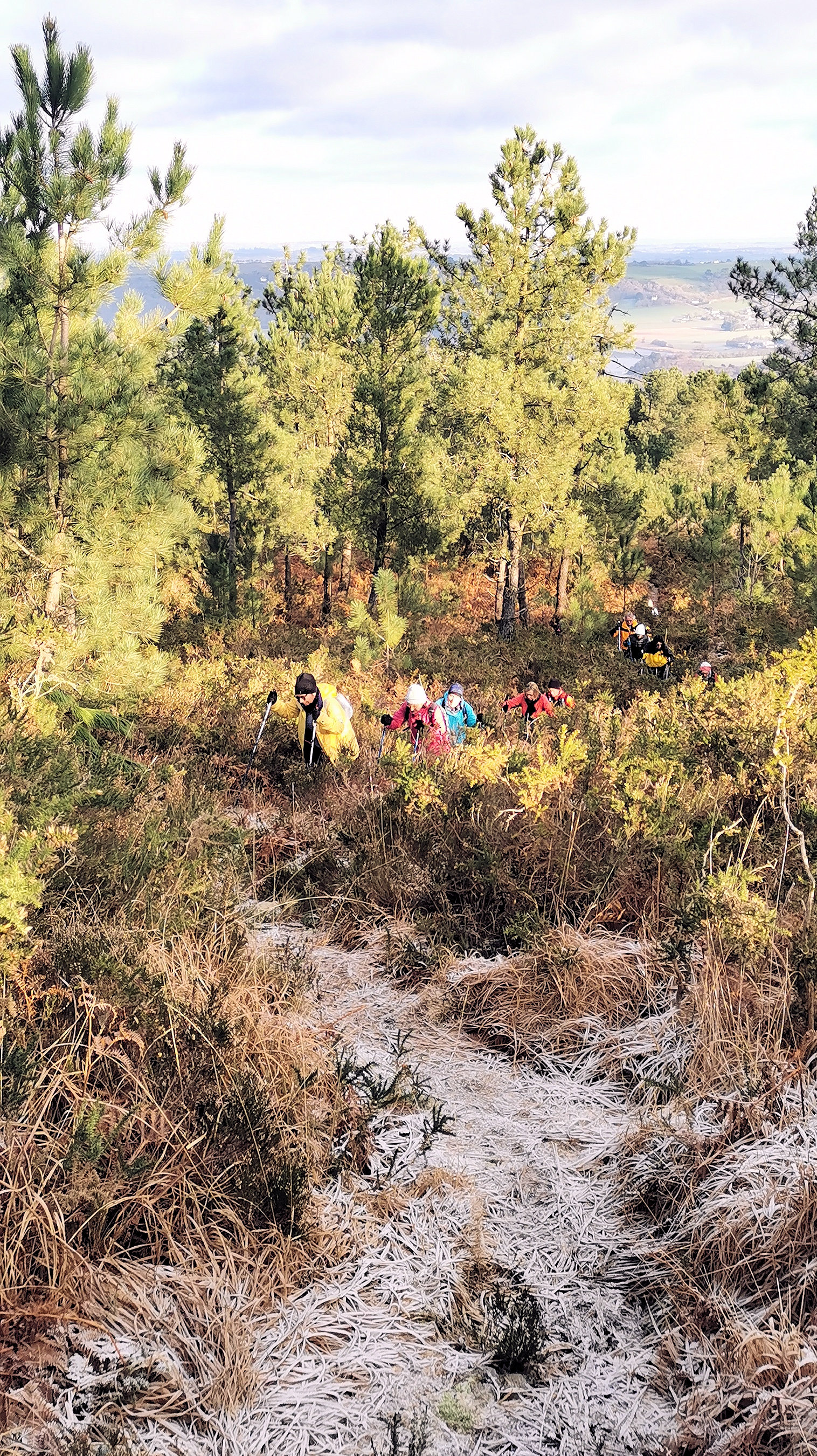 088-IMG_20210110_105517