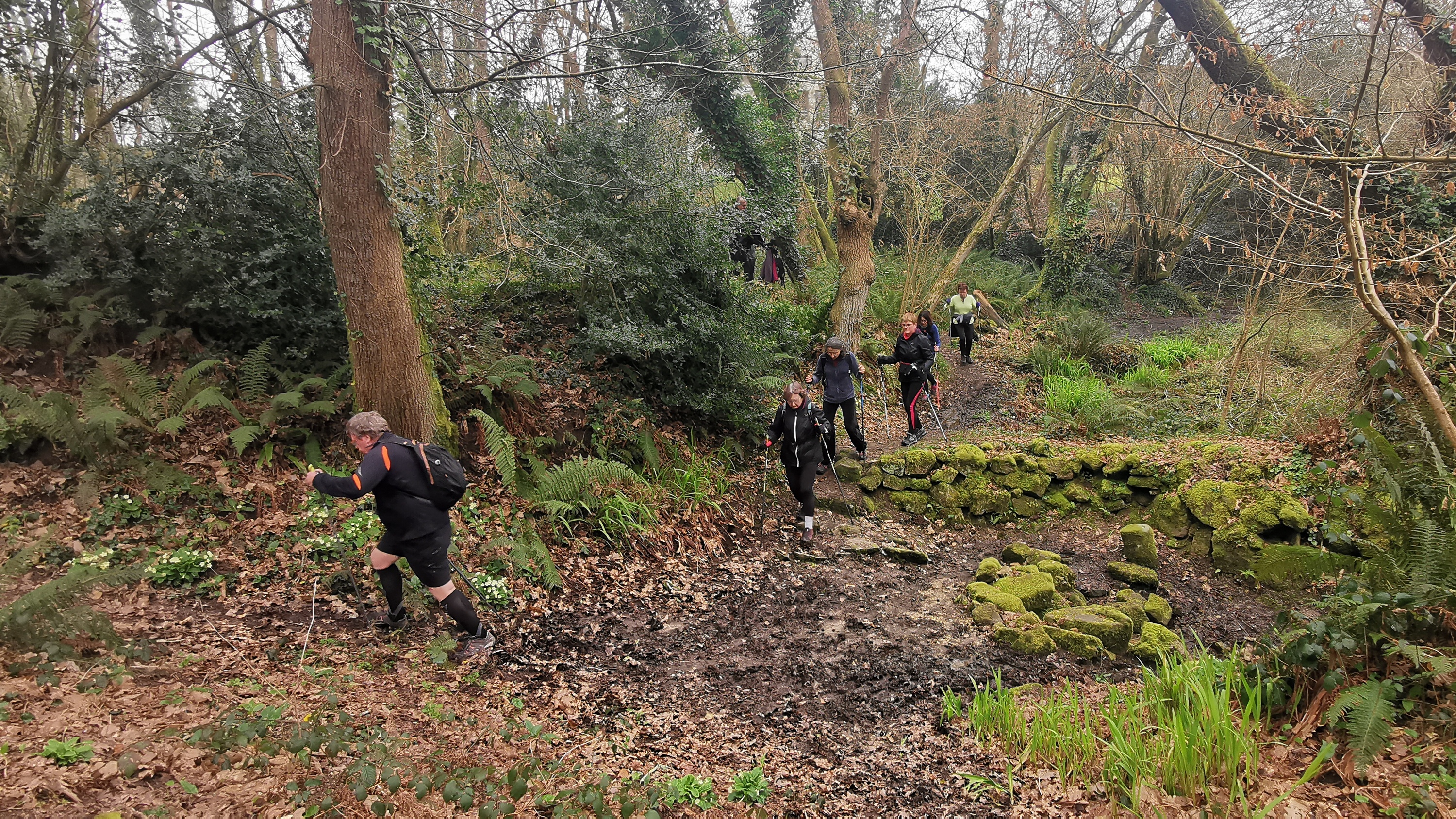 32-IMG_20210304_103941