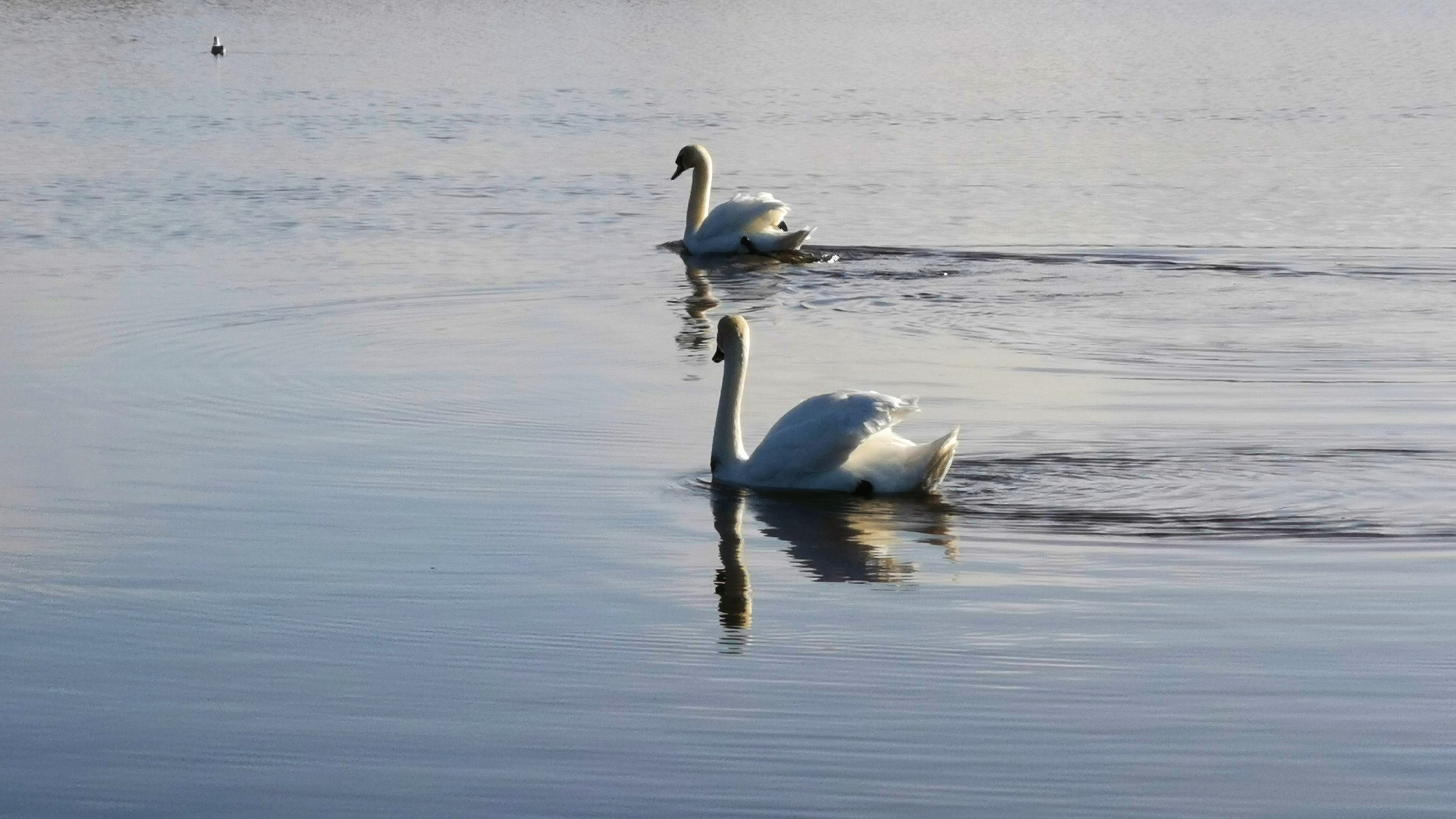 032-IMG_20210222_105939