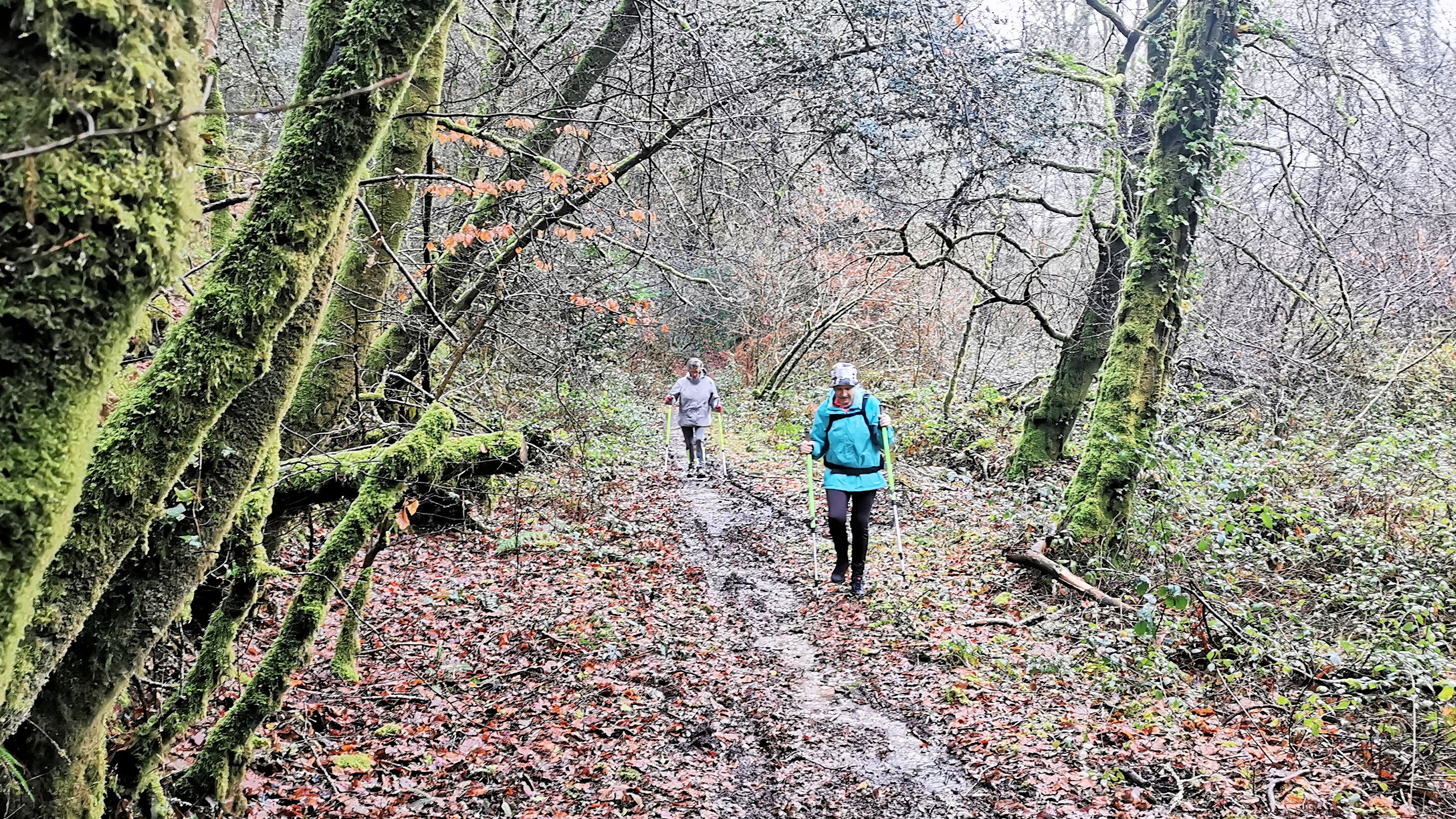 13-IMG_20210119_110017