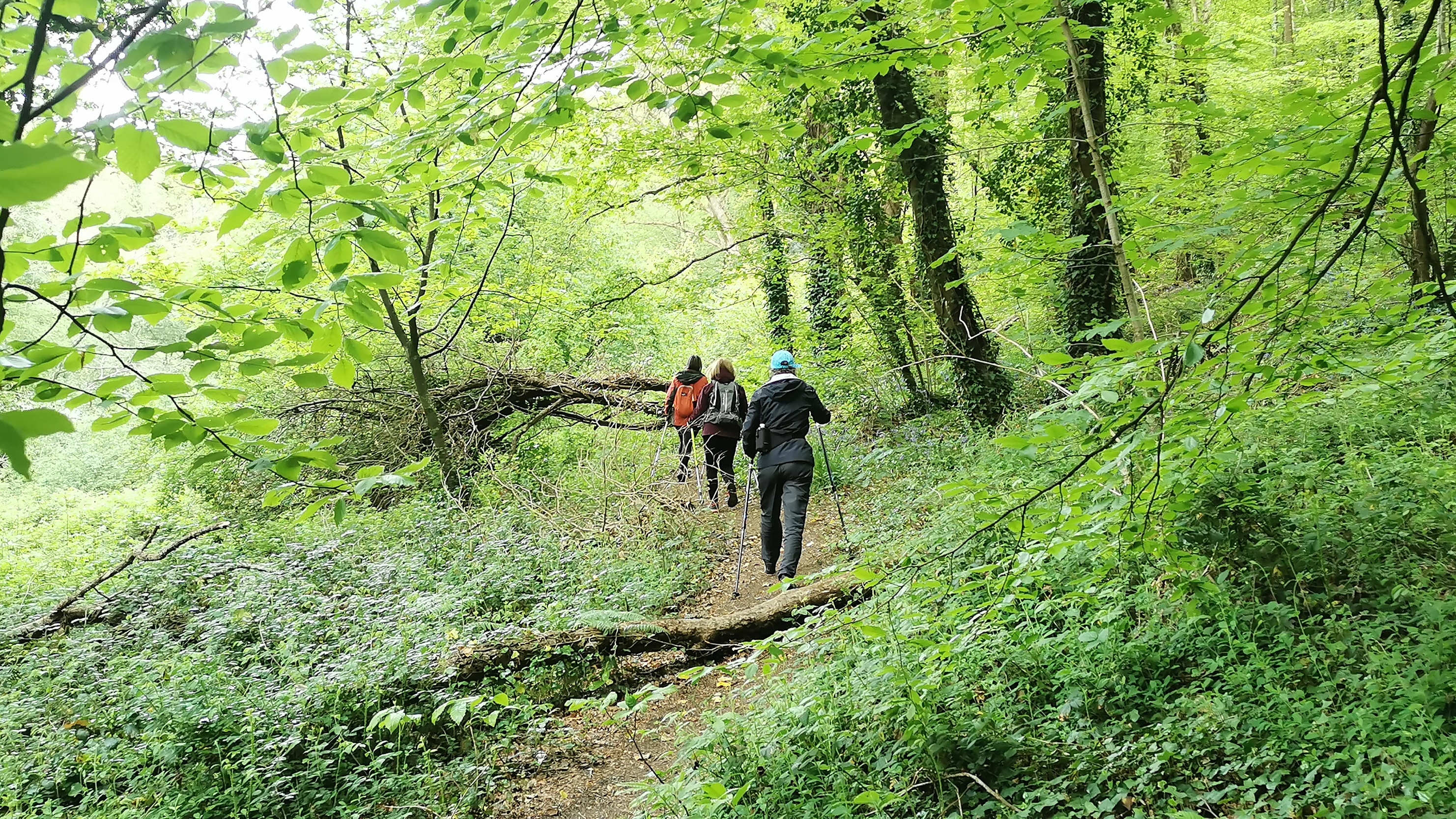 12-IMG_20210507_172910