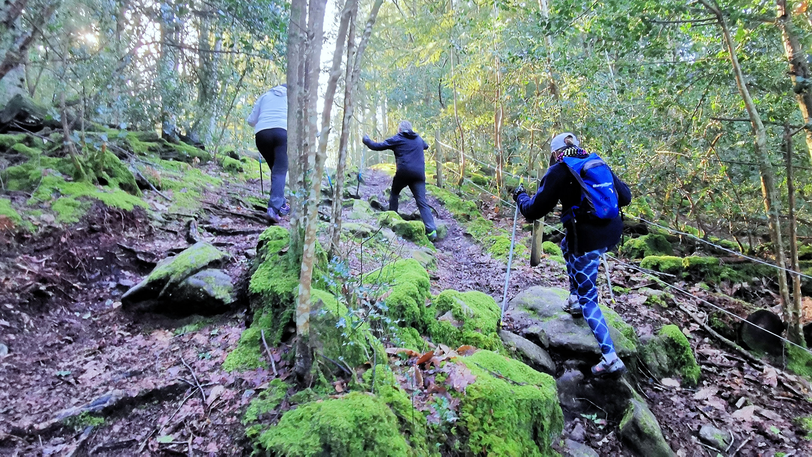 37-IMG_20210206_111119_1