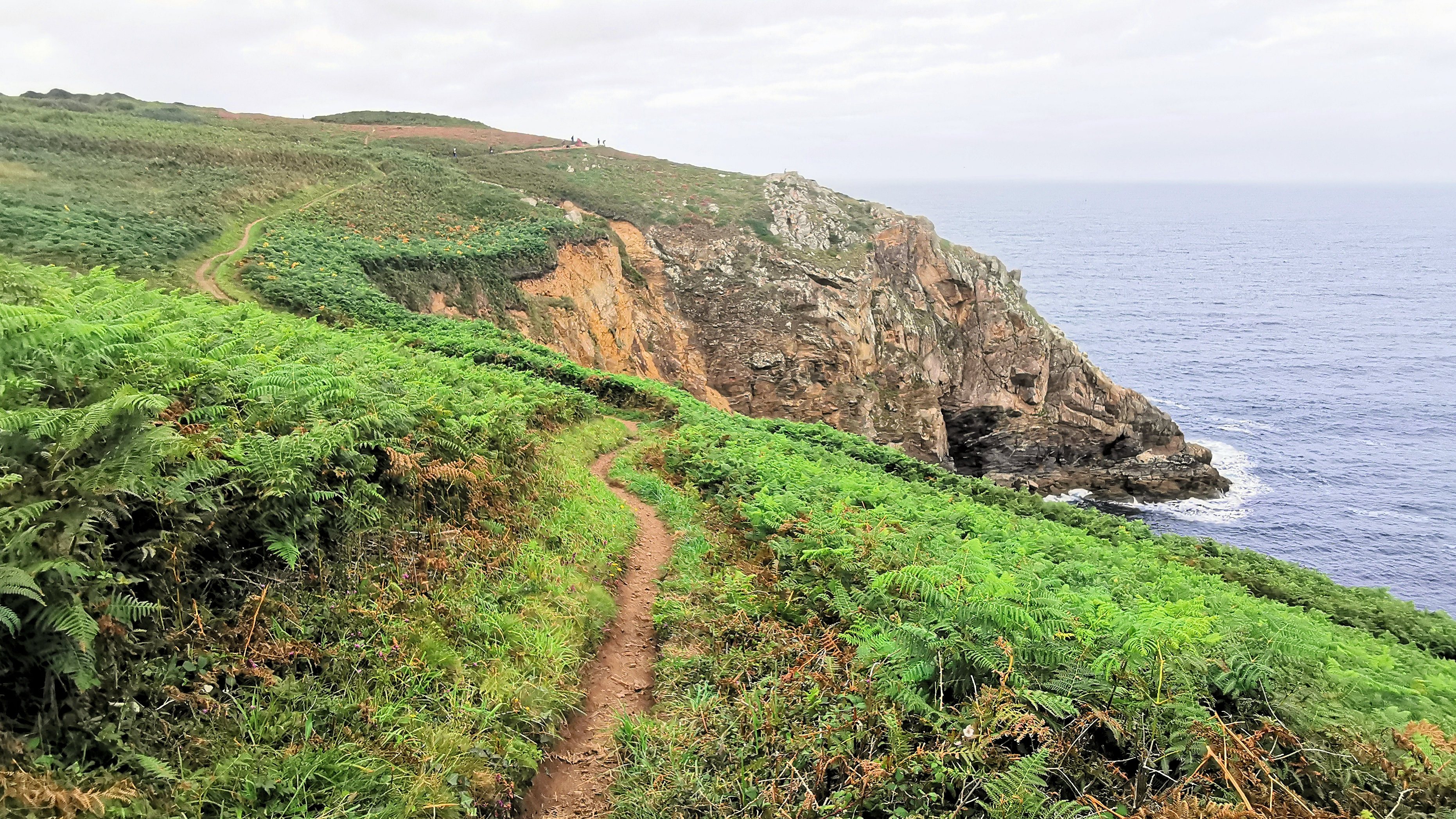 269-IMG_20210815_152211