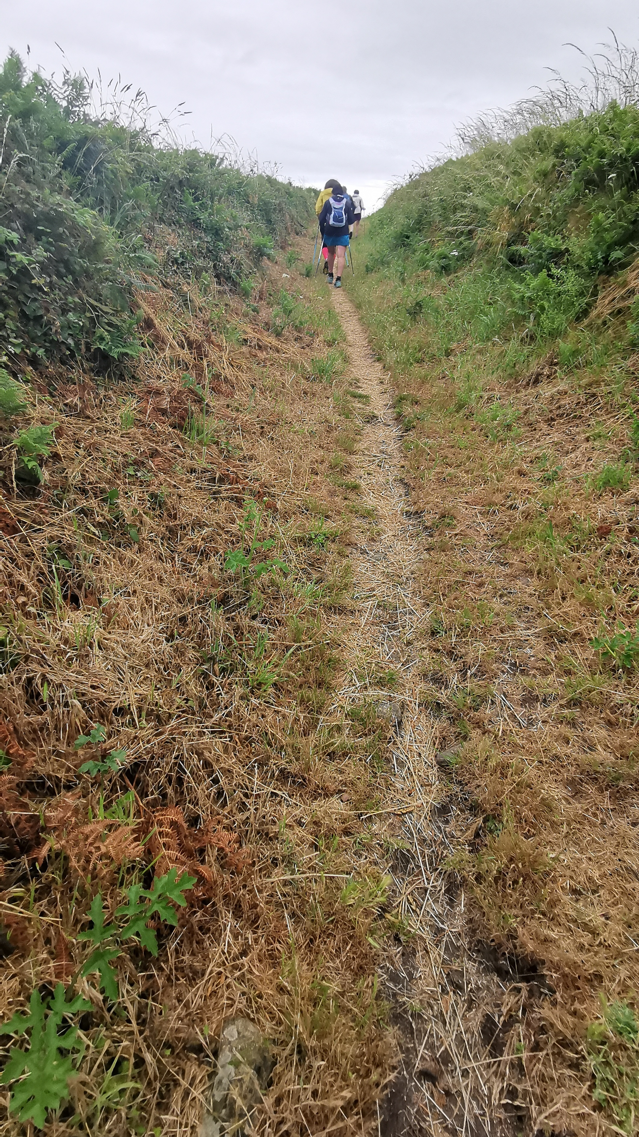 068-IMG_20210620_102458