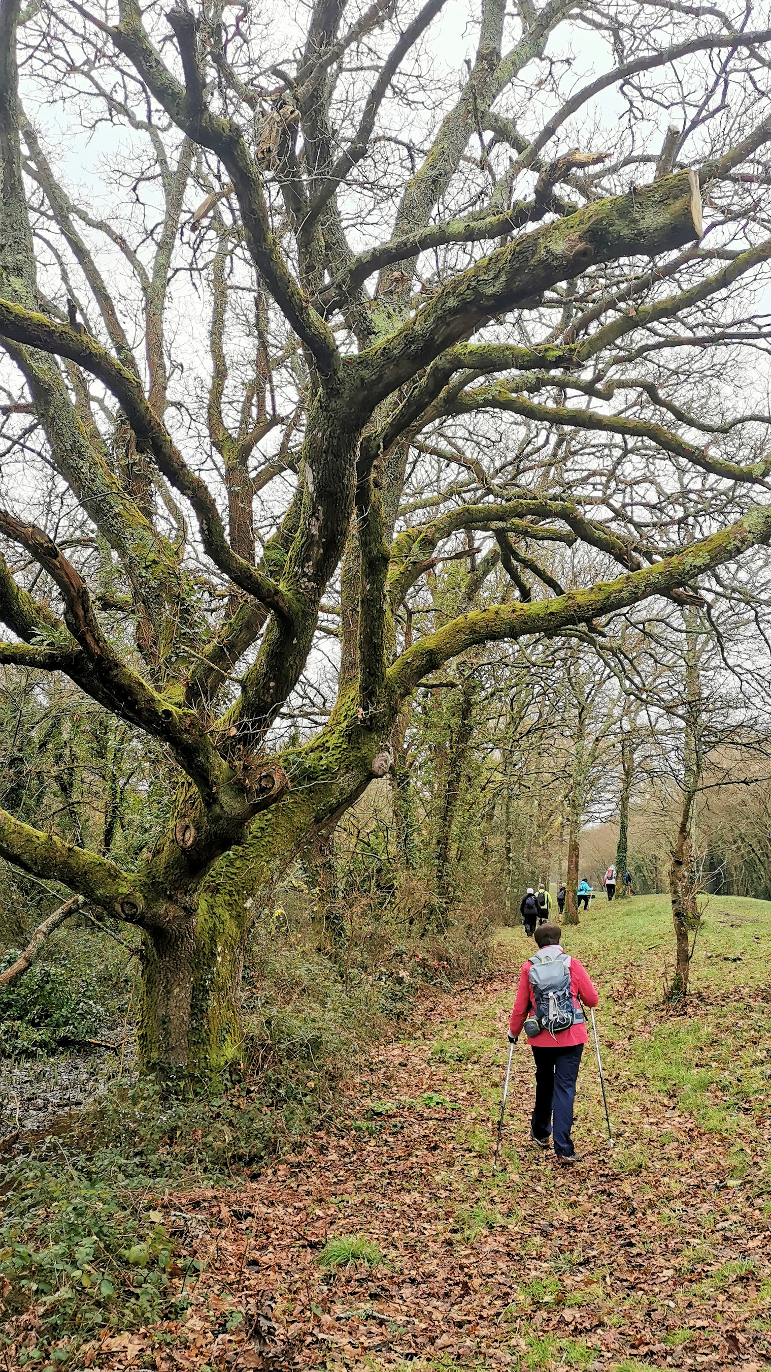 01-IMG_20210118_095306