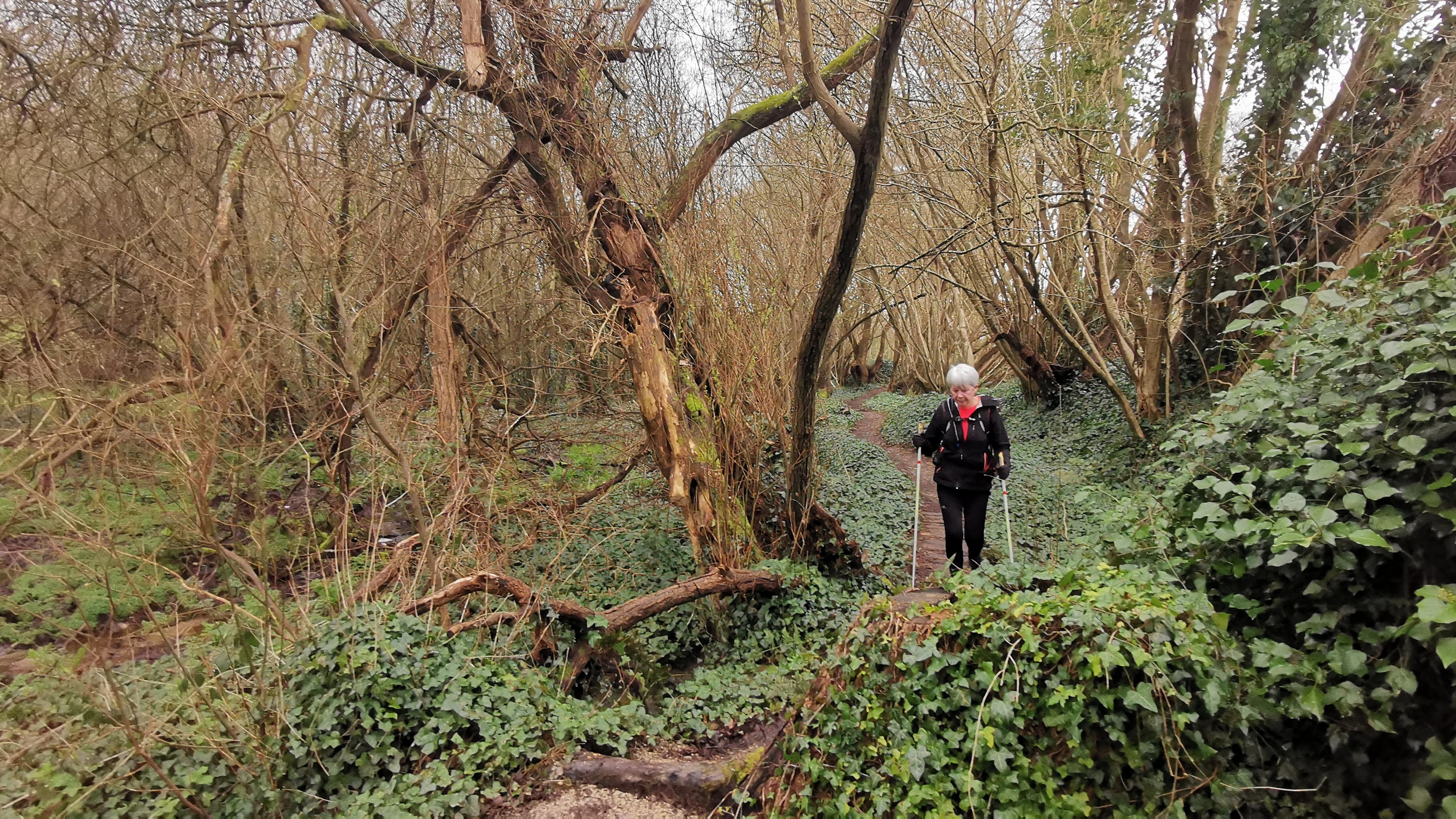 083-IMG_20210220_113504