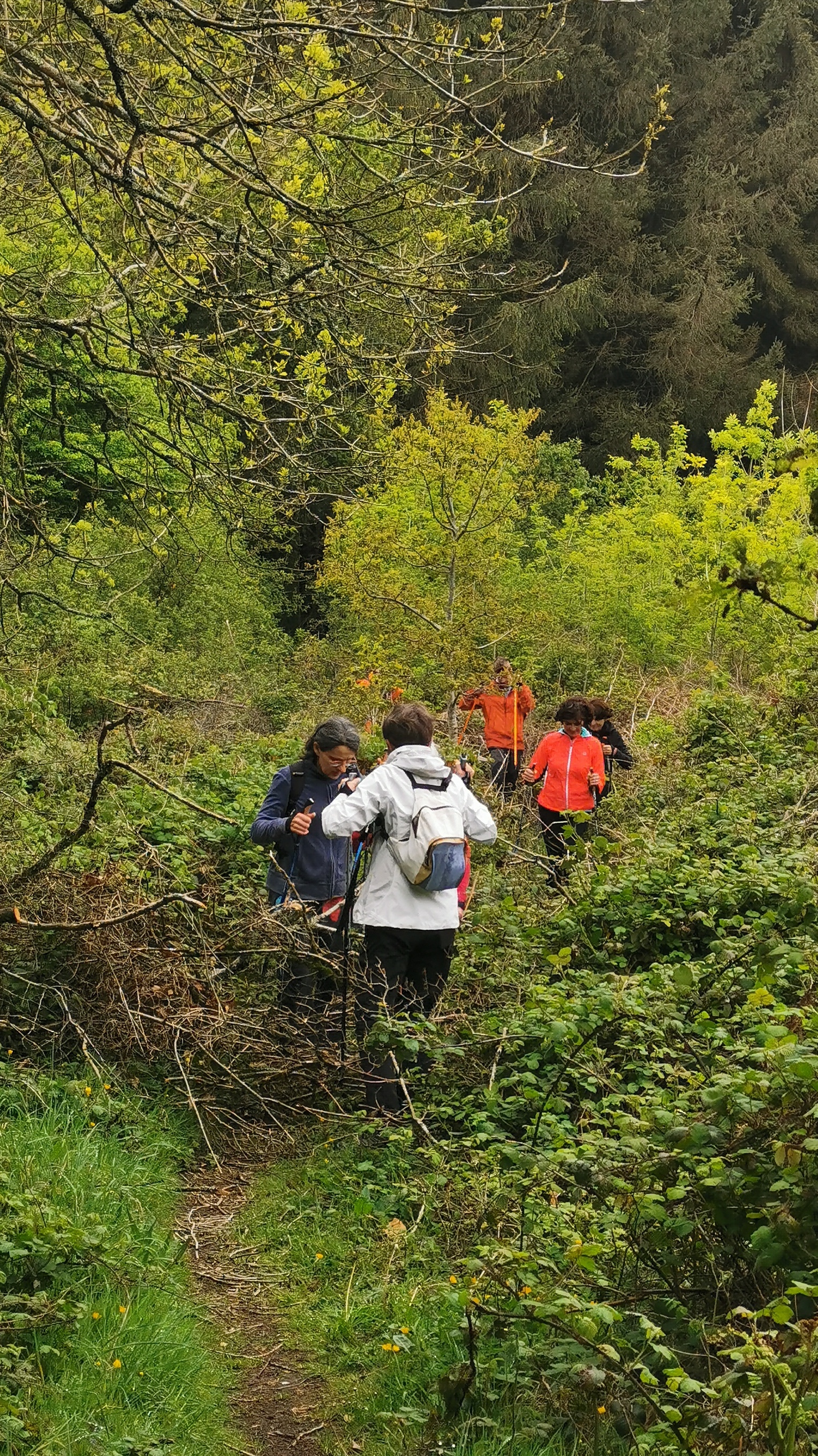 54-IMG_20210508_111514