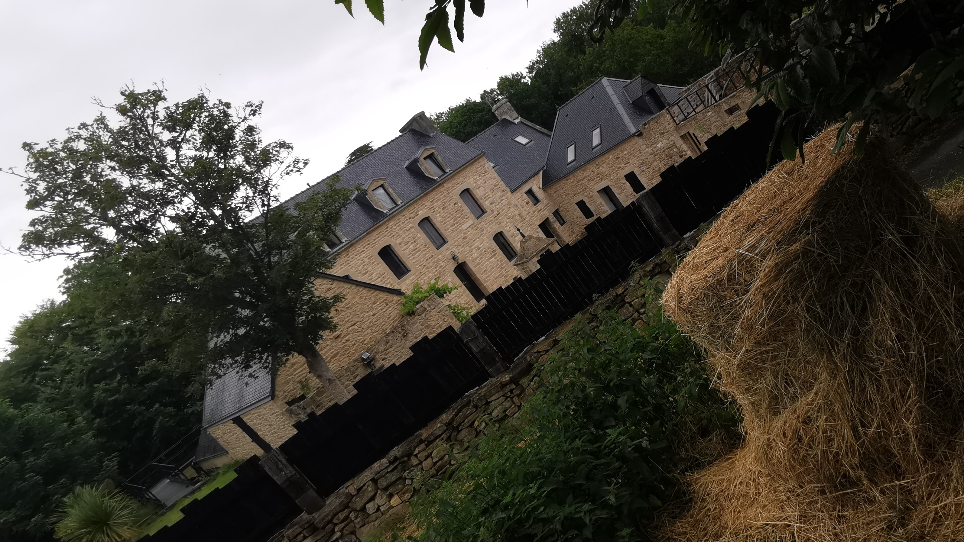 098-IMG_20210620_105359