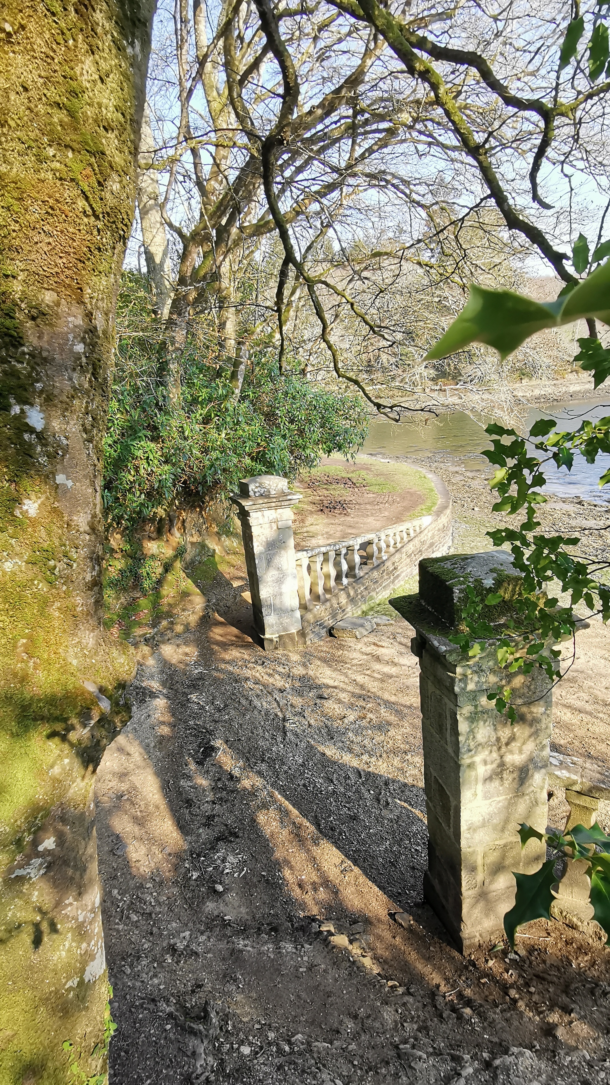 26-IMG_20210308_104339