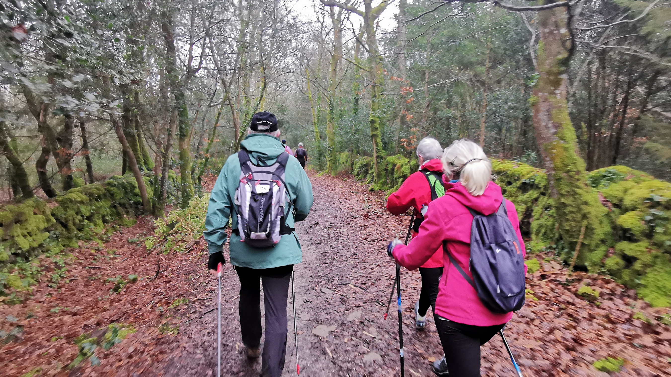 013-IMG_20210220_094423