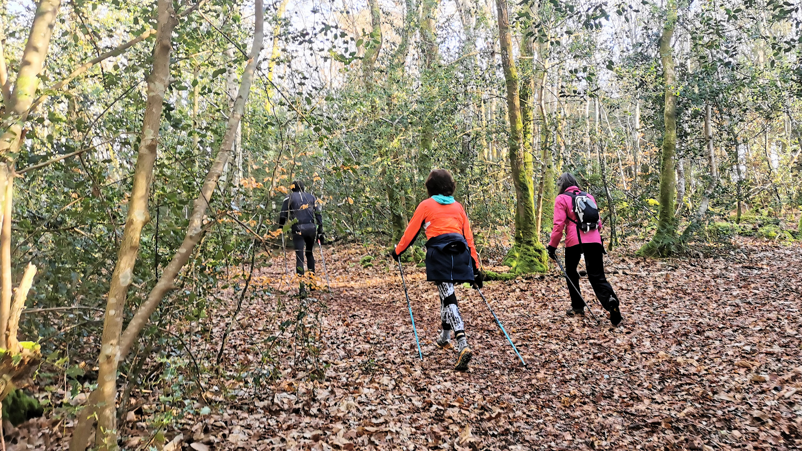 57-IMG_20210207_104439_1