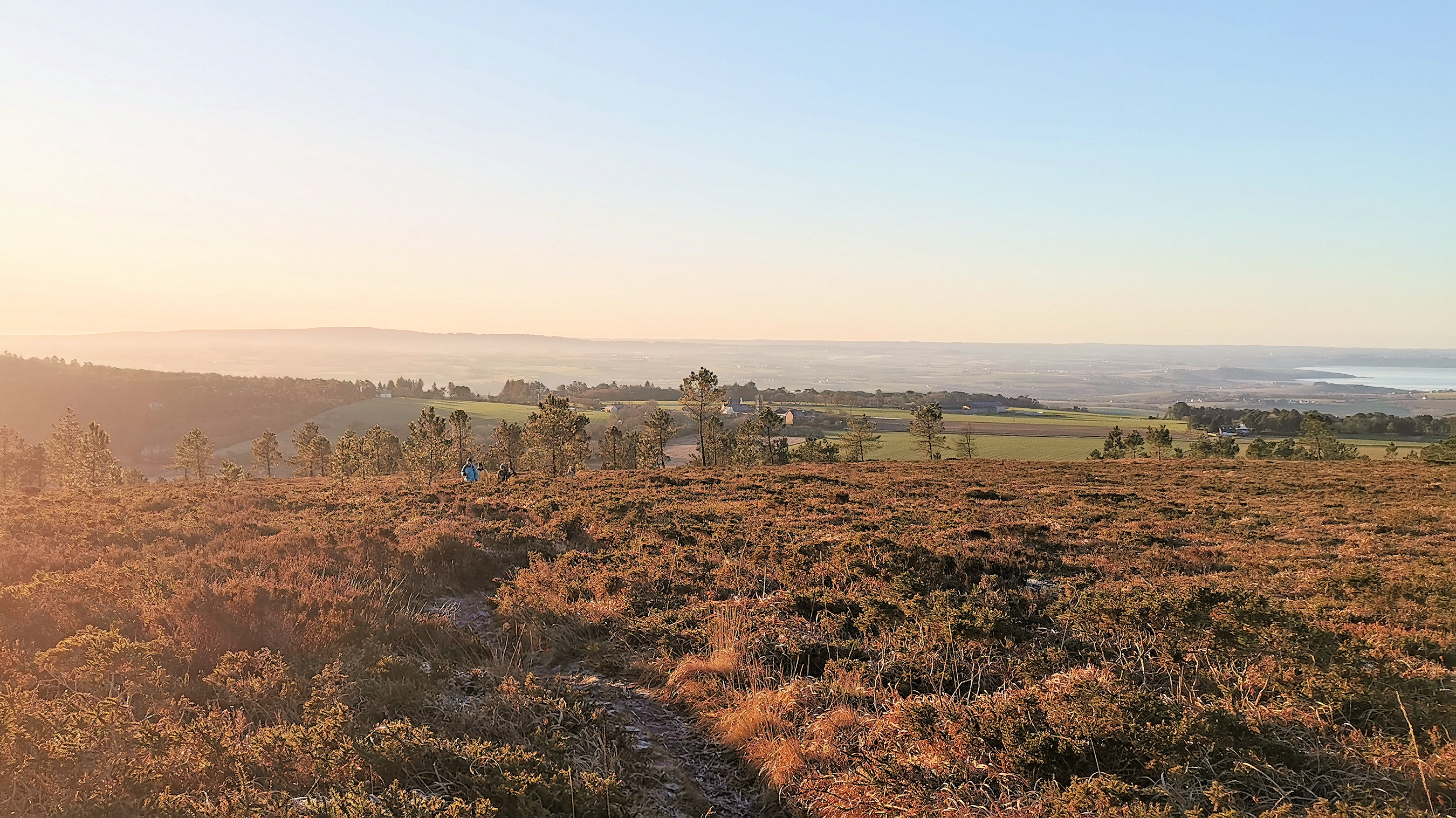 012-IMG_20210110_095218