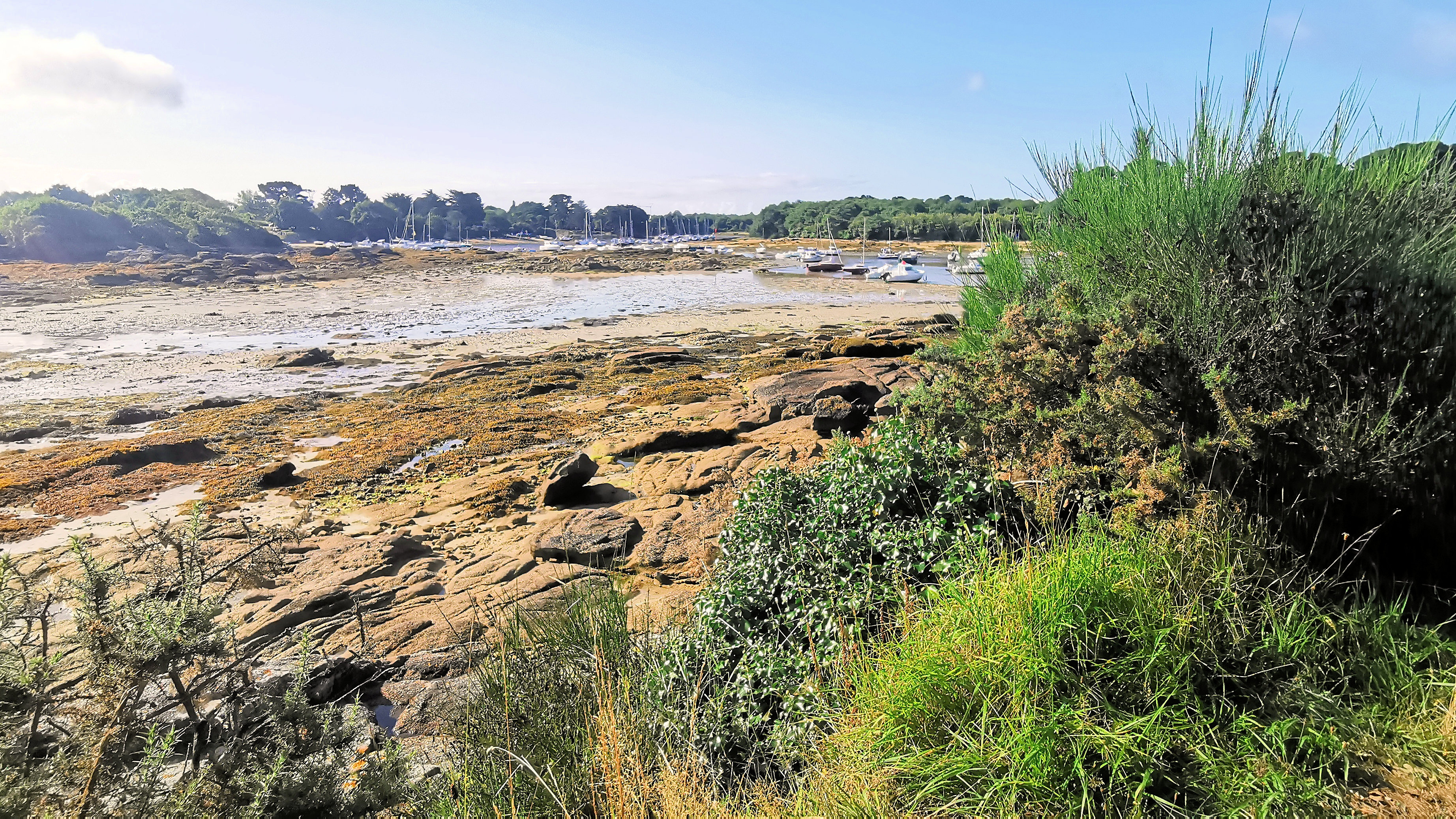 104-IMG_20210822_104748