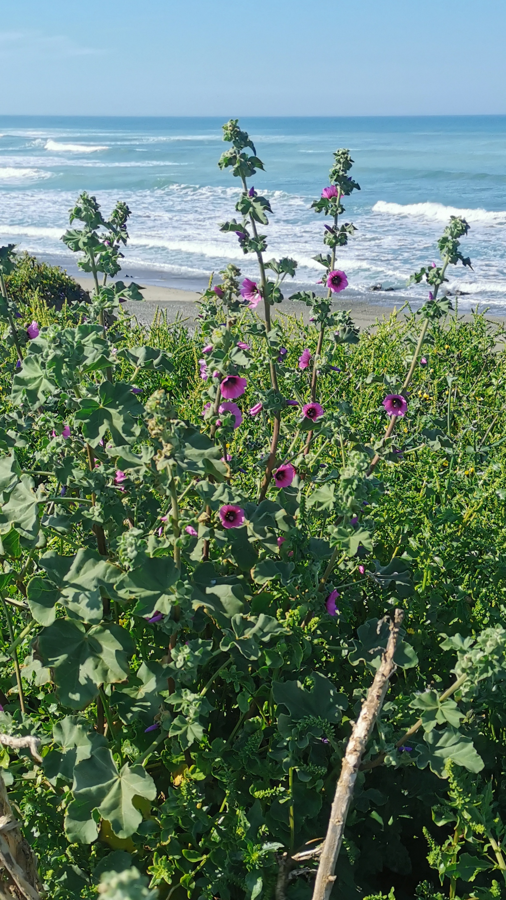 35-IMG_20210530_104731