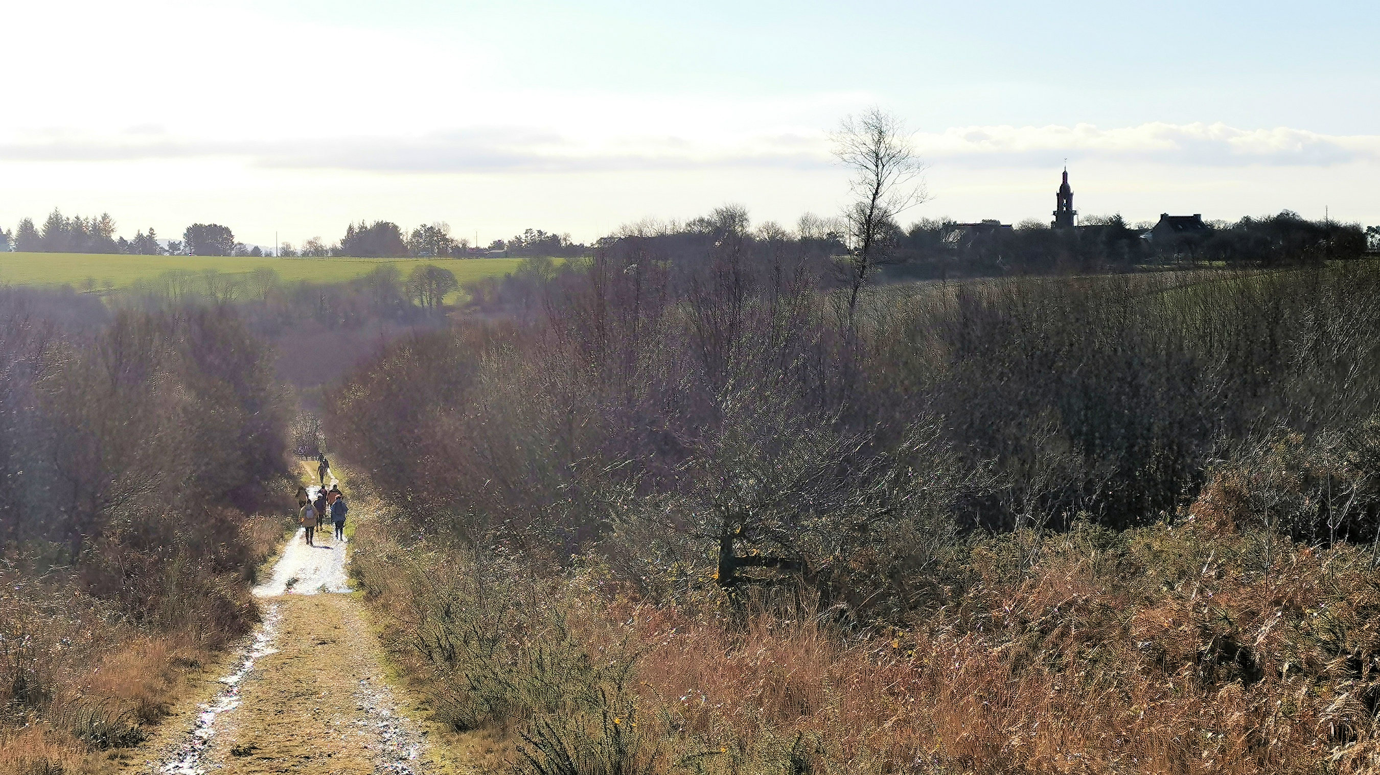 155-IMG_20210110_114355