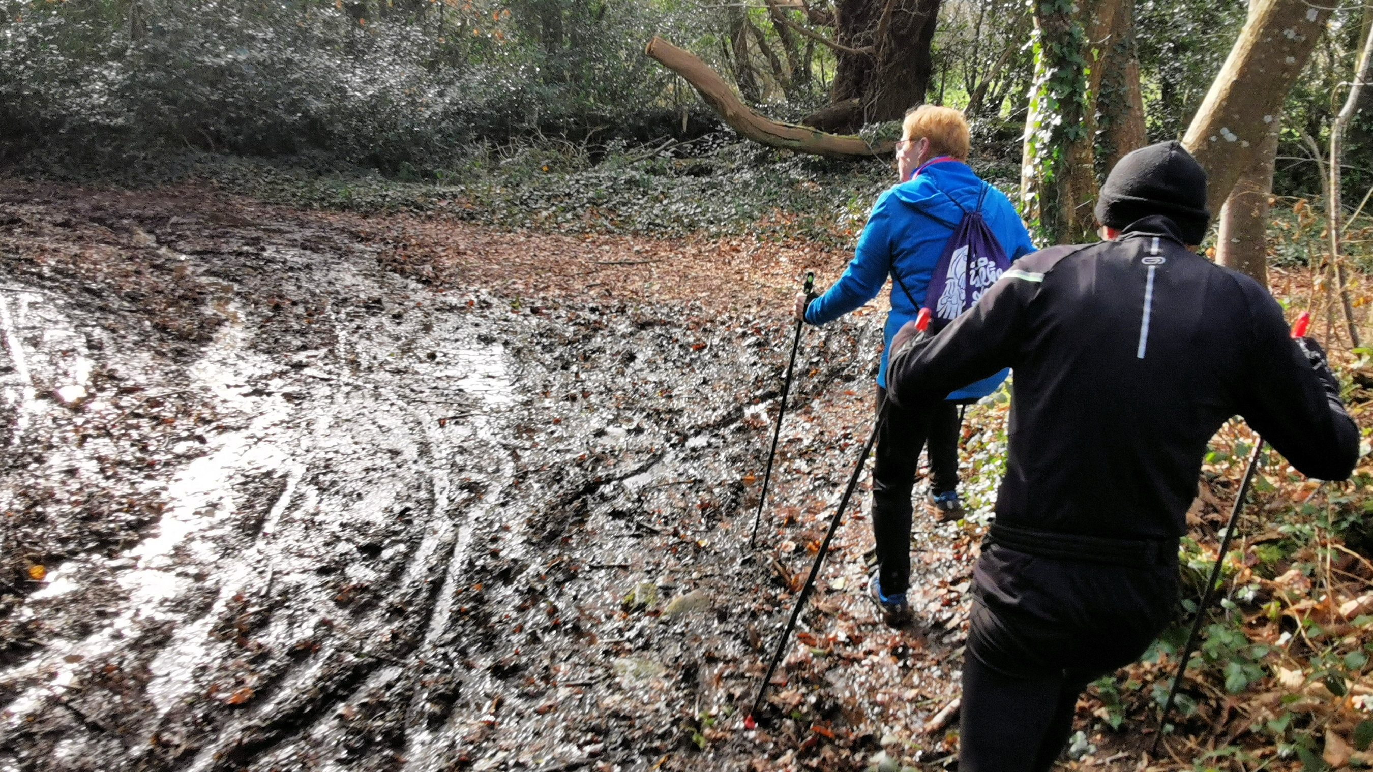 77-IMG_20210207_114011