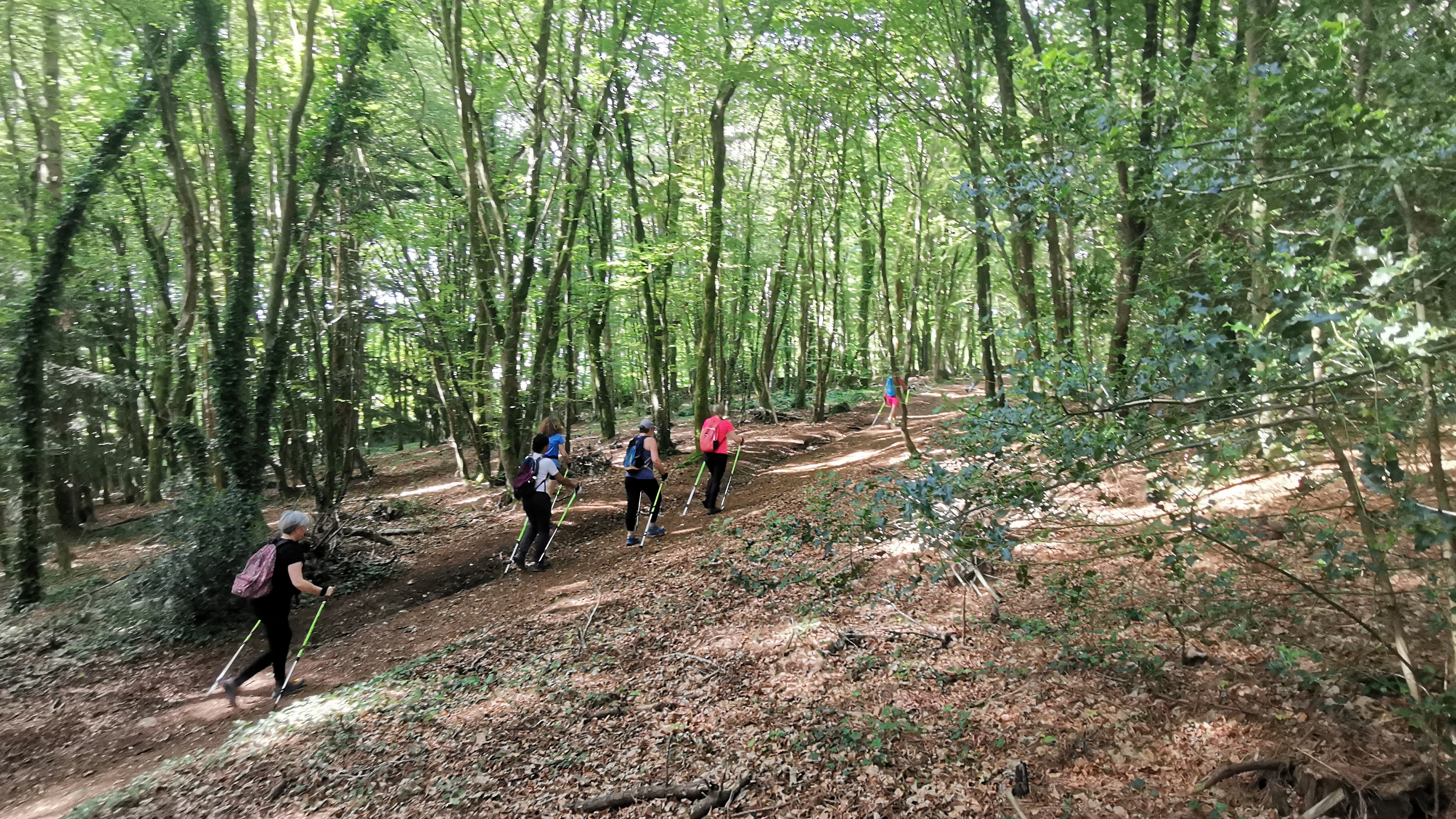 37-IMG_20210608_182849_1