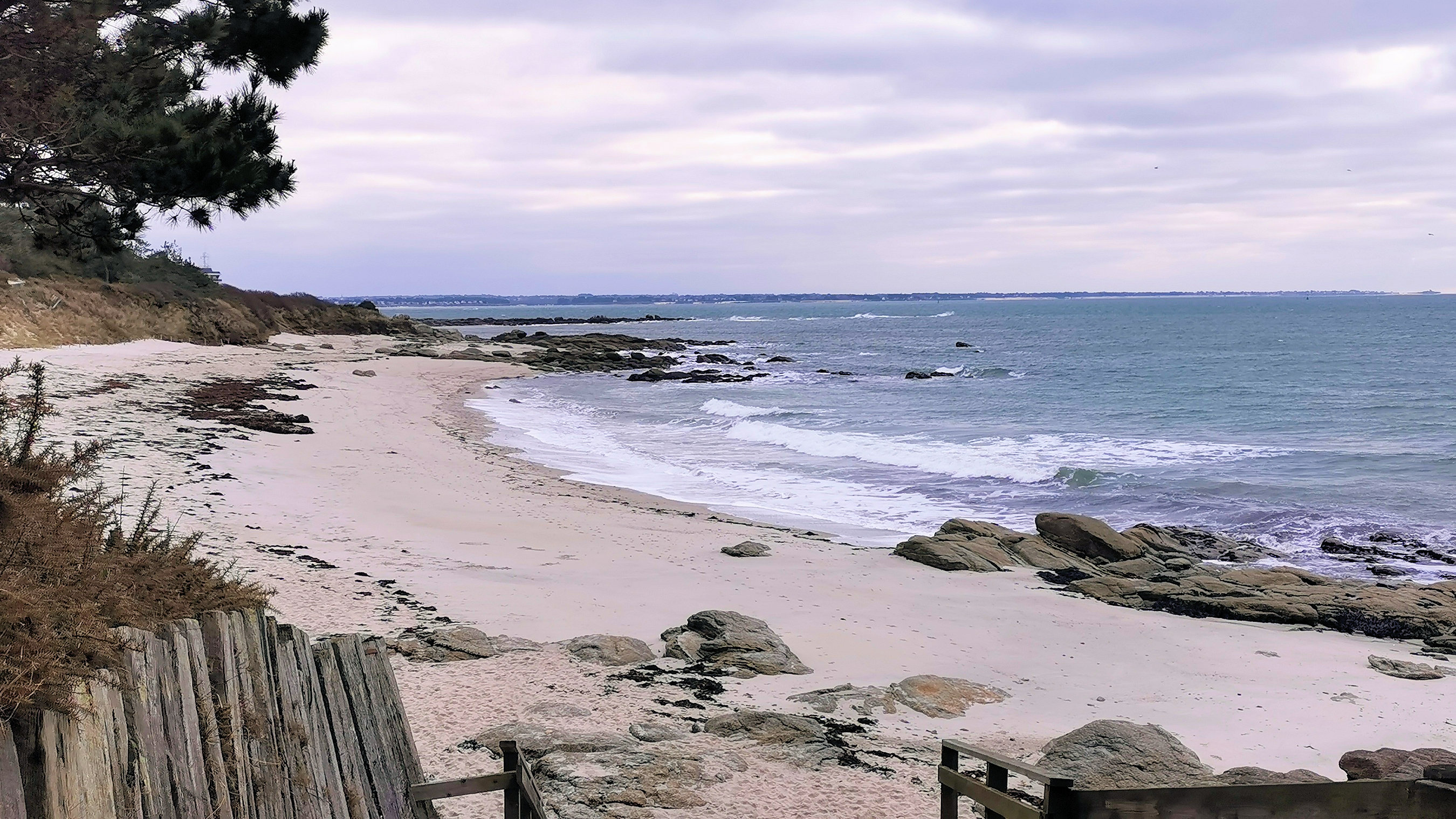 10-IMG_20210208_104451