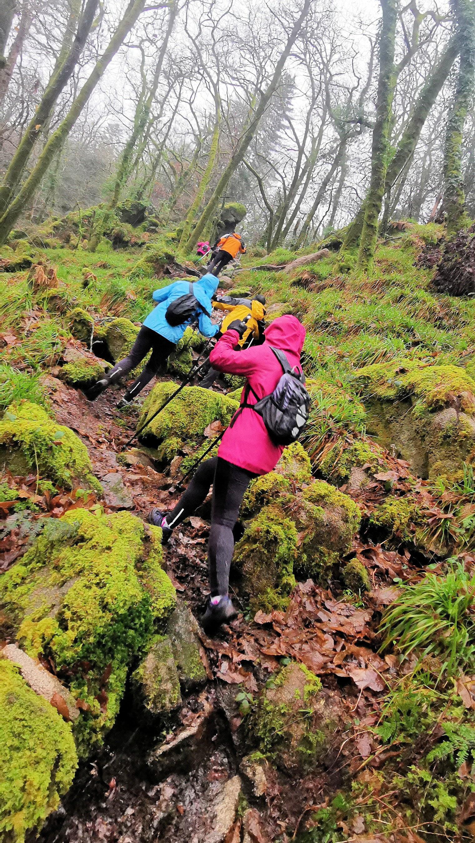 61-IMG_20210121_113110