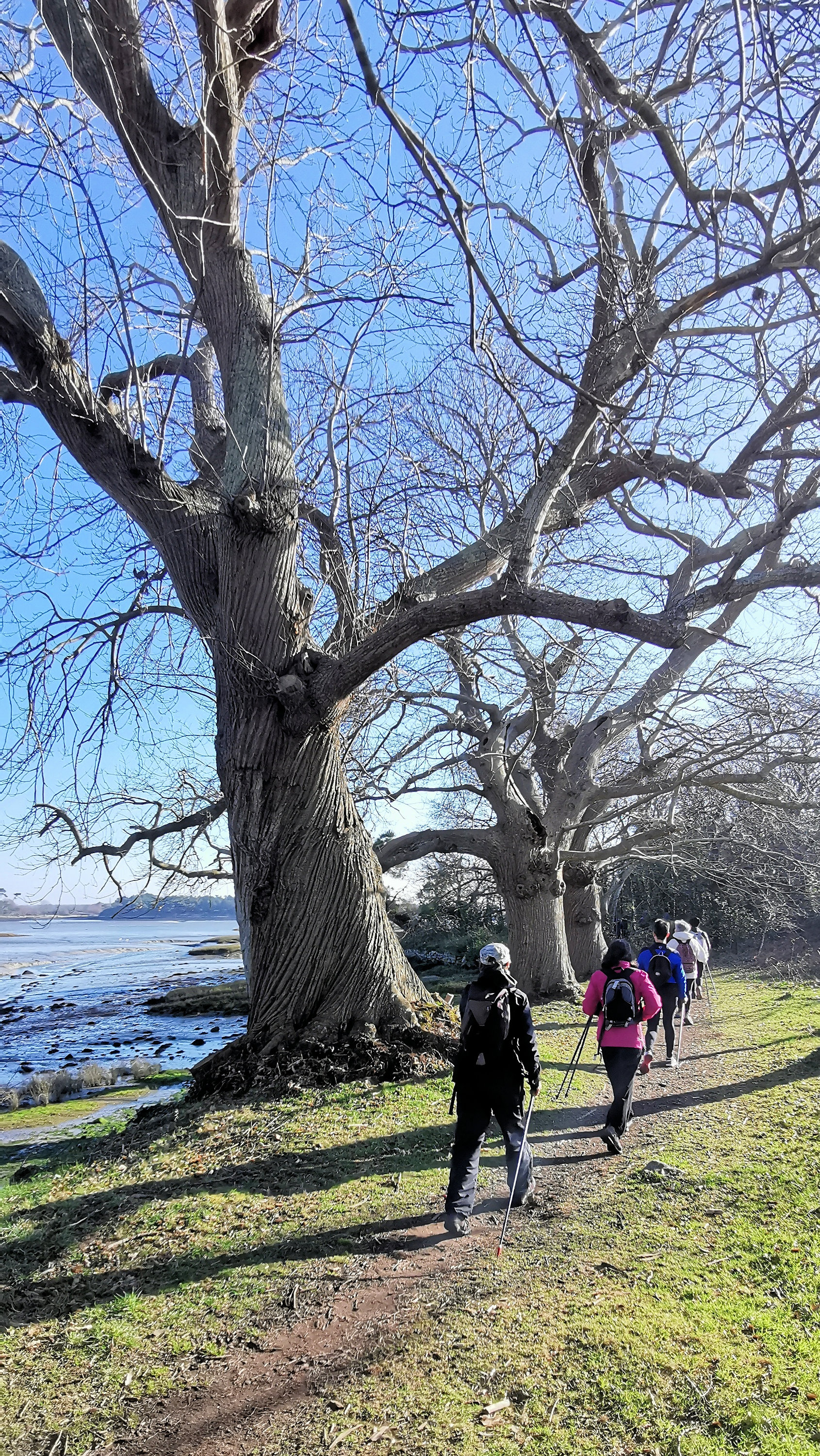 037-IMG_20210228_101342_1