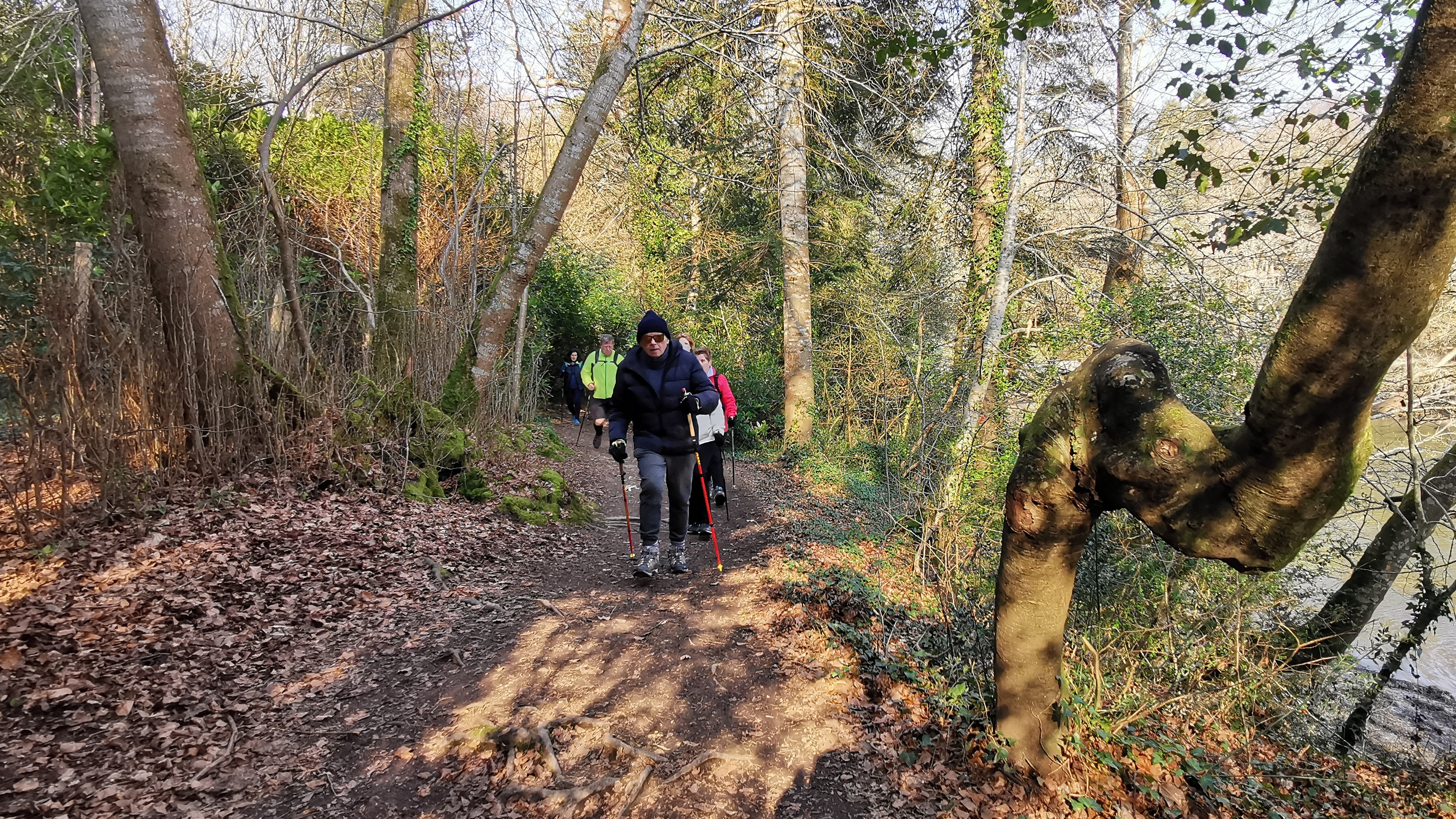 19-IMG_20210308_104110_1