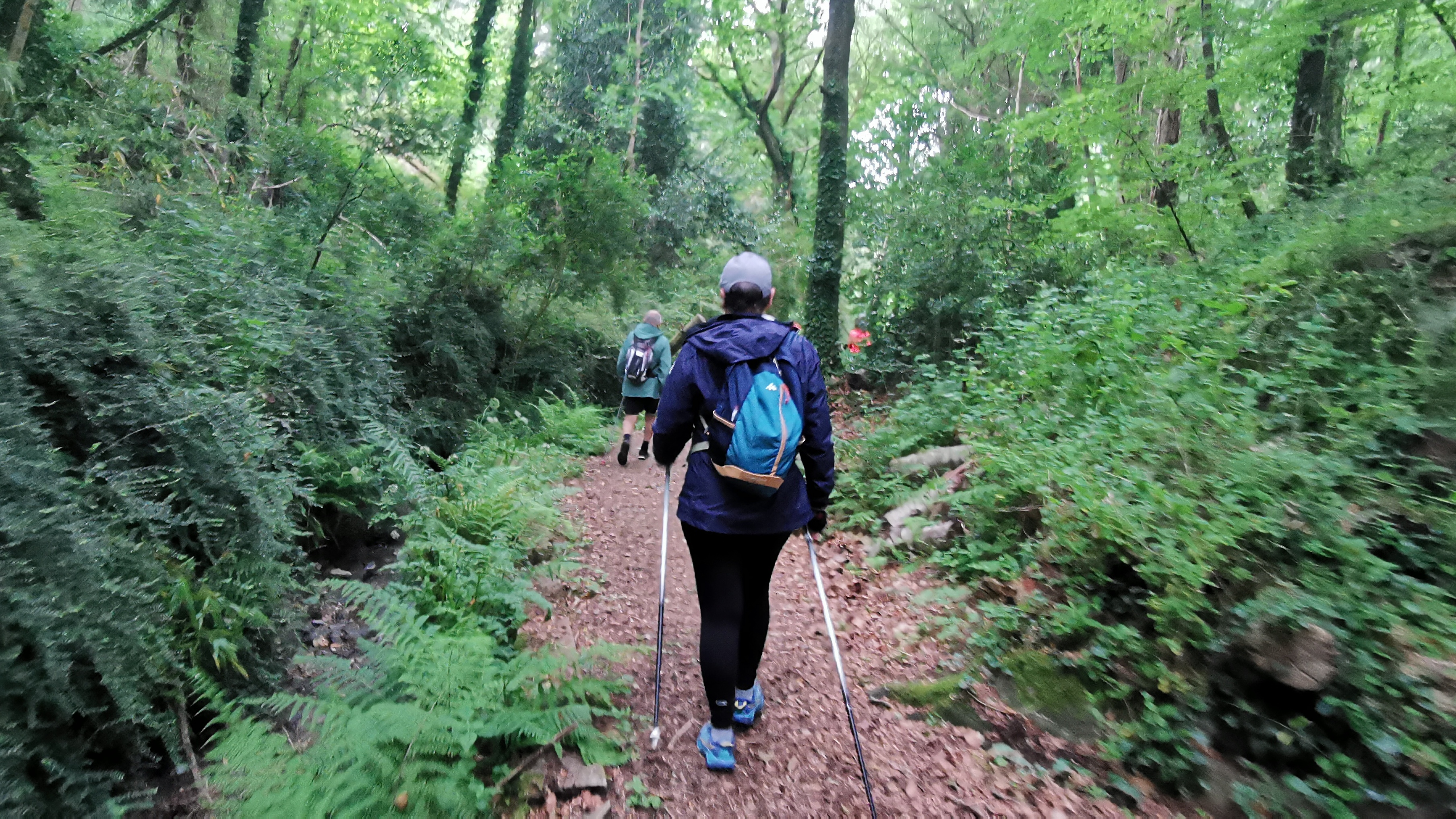 003-IMG_20210606_093807