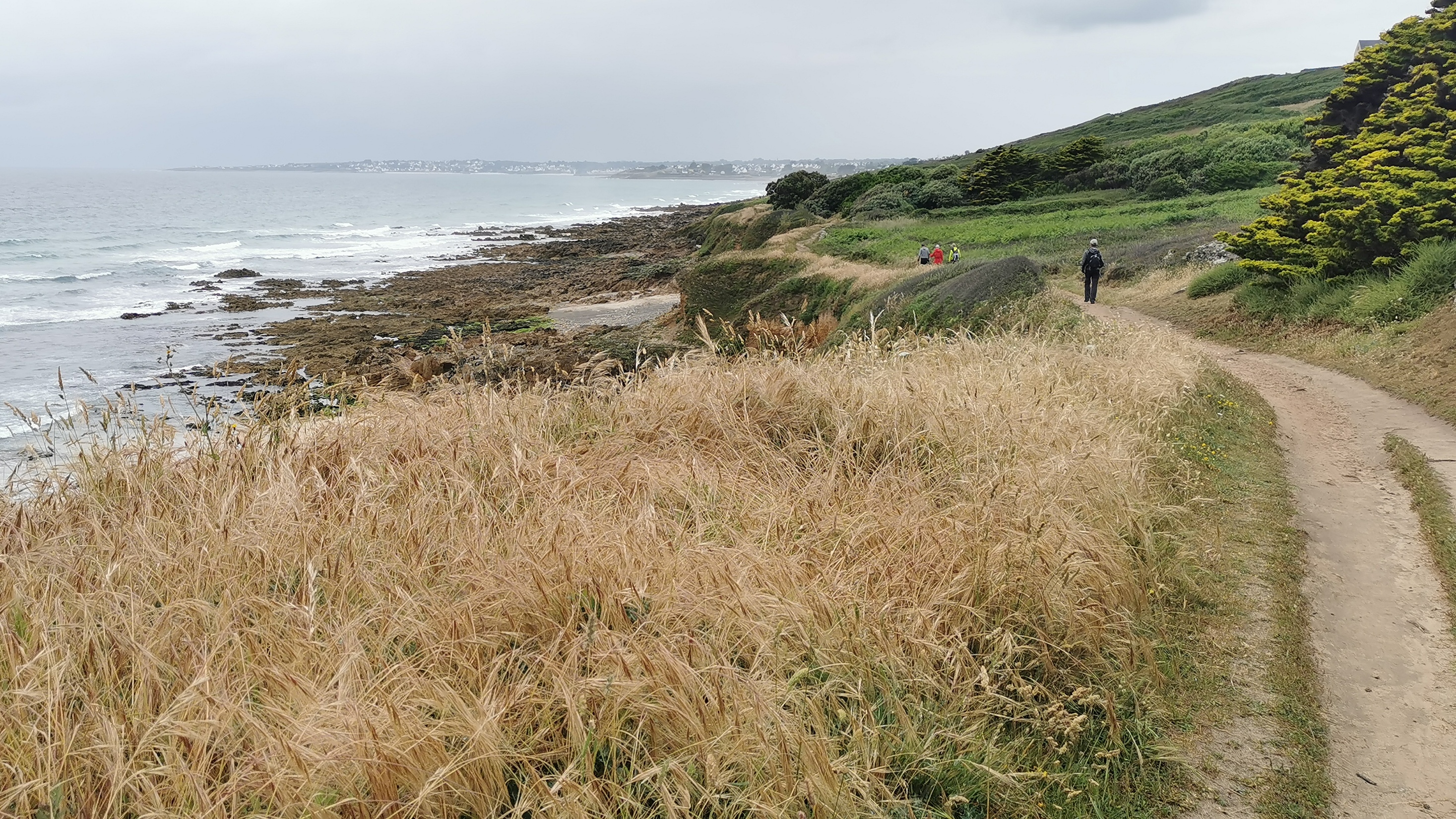 047-IMG_20210620_100541