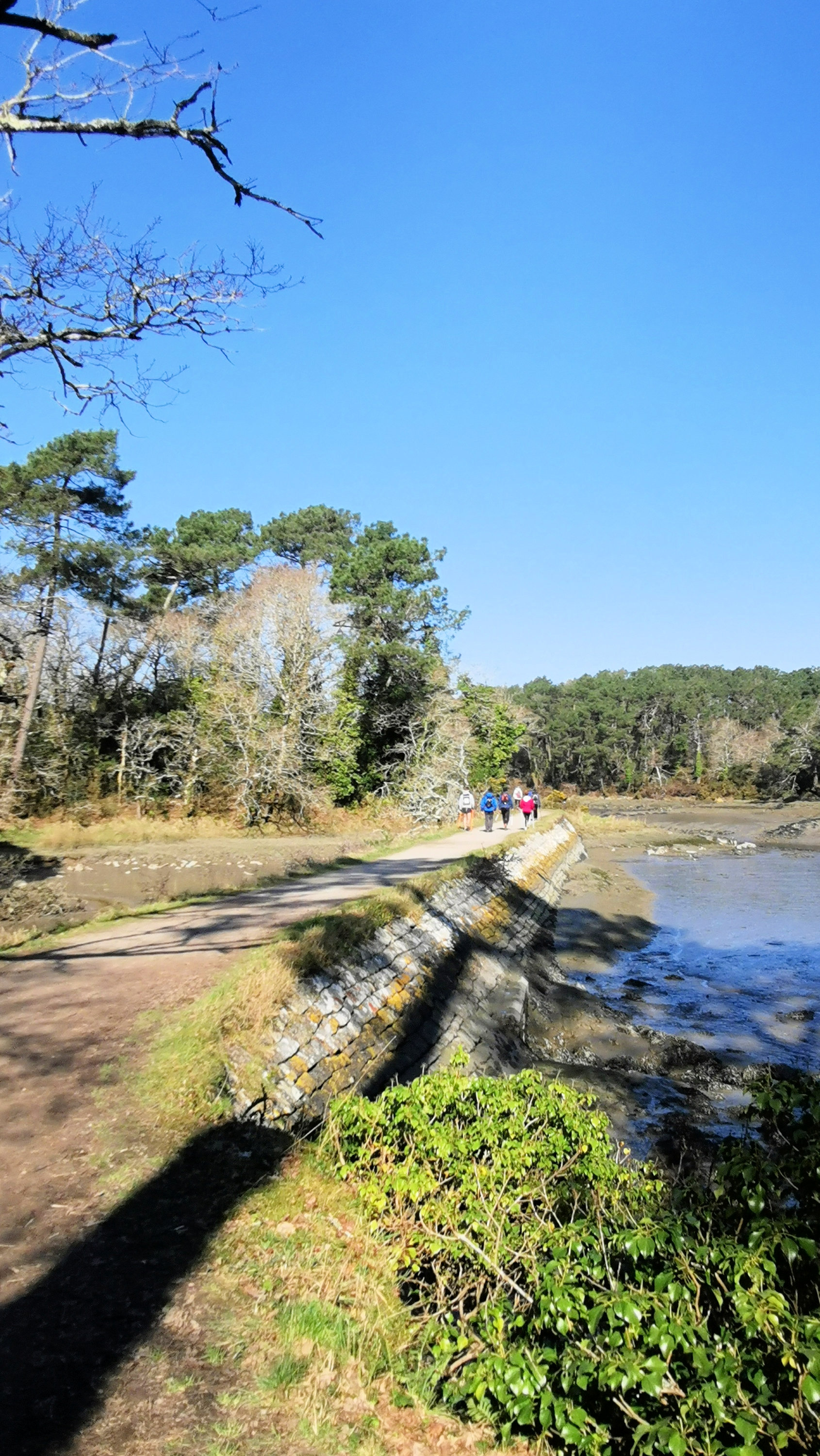 103-IMG_20210228_113943