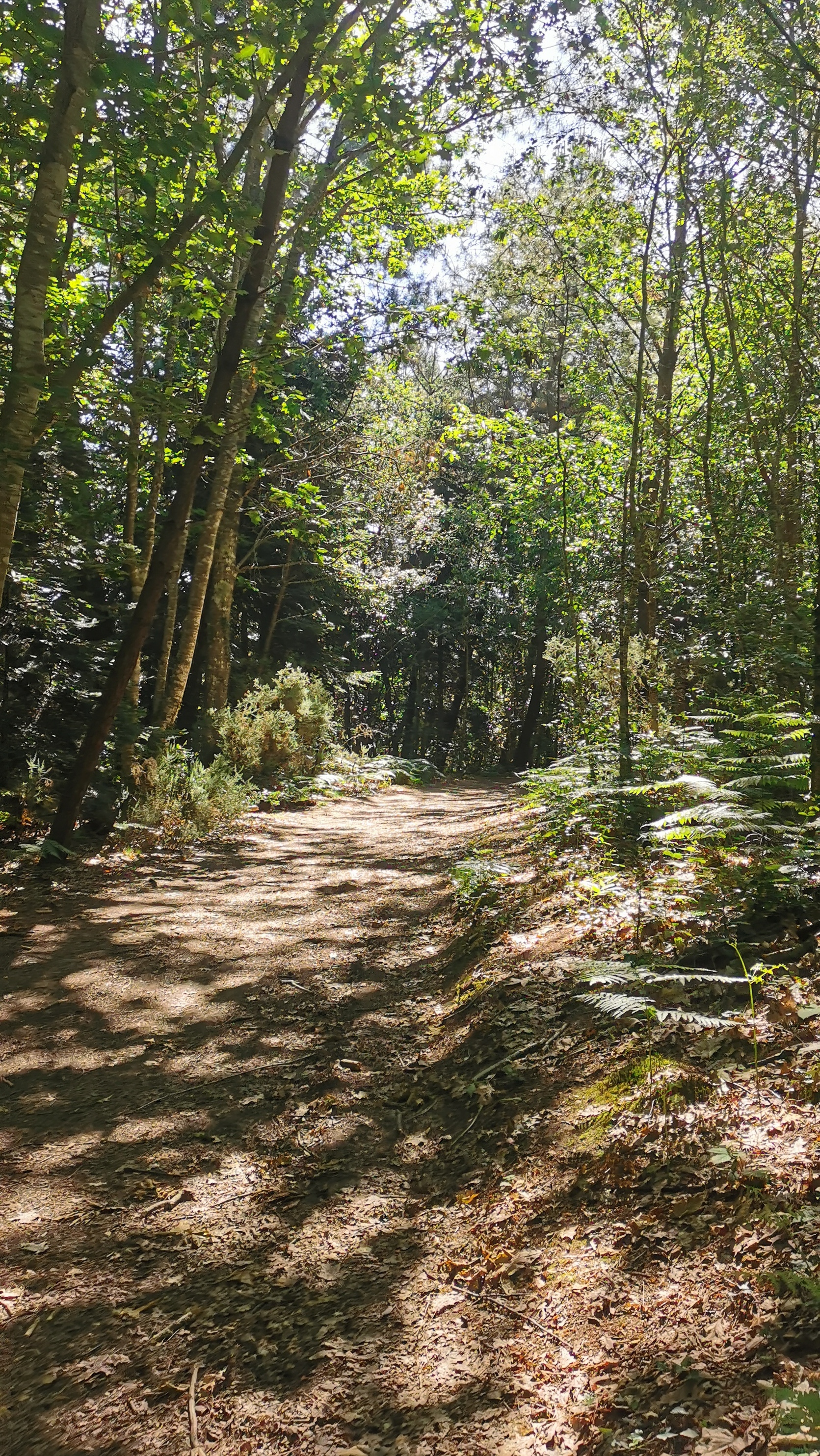 13-IMG_20210614_105002