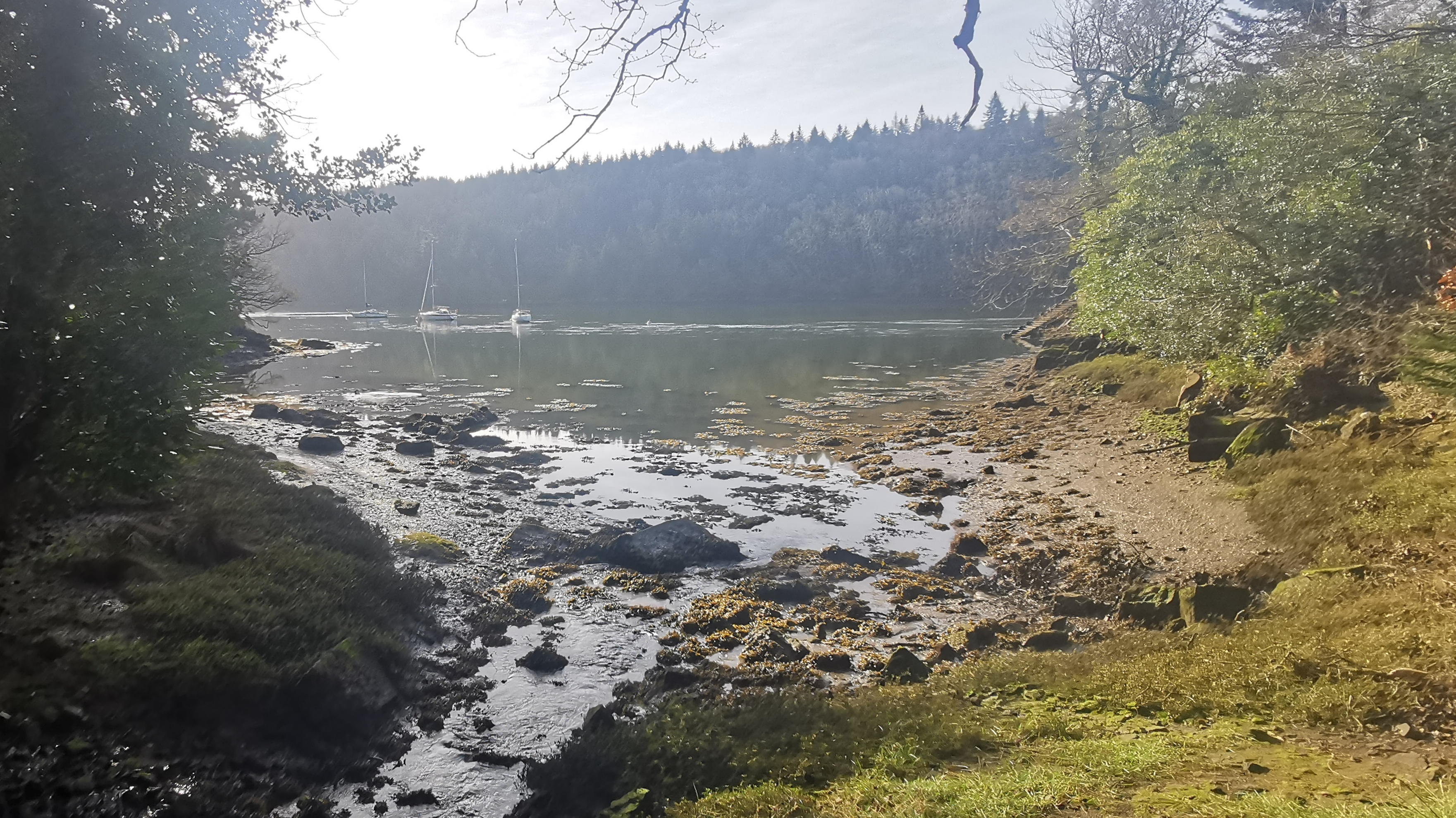 10-IMG_20210318_094827