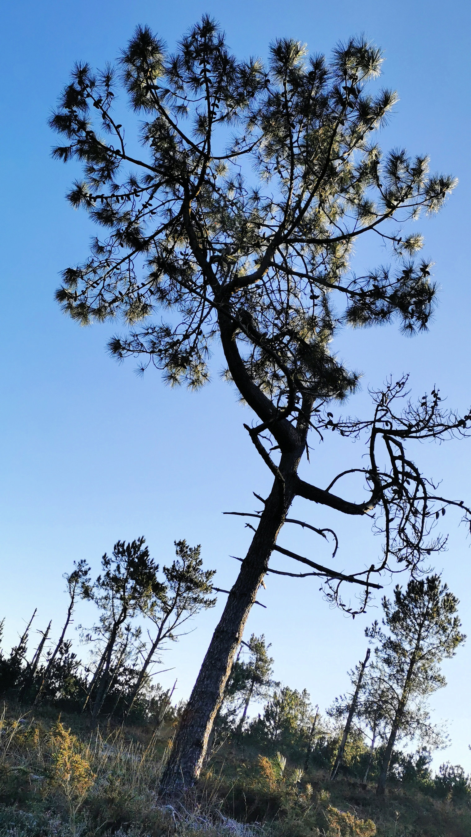 072-IMG_20210110_104651